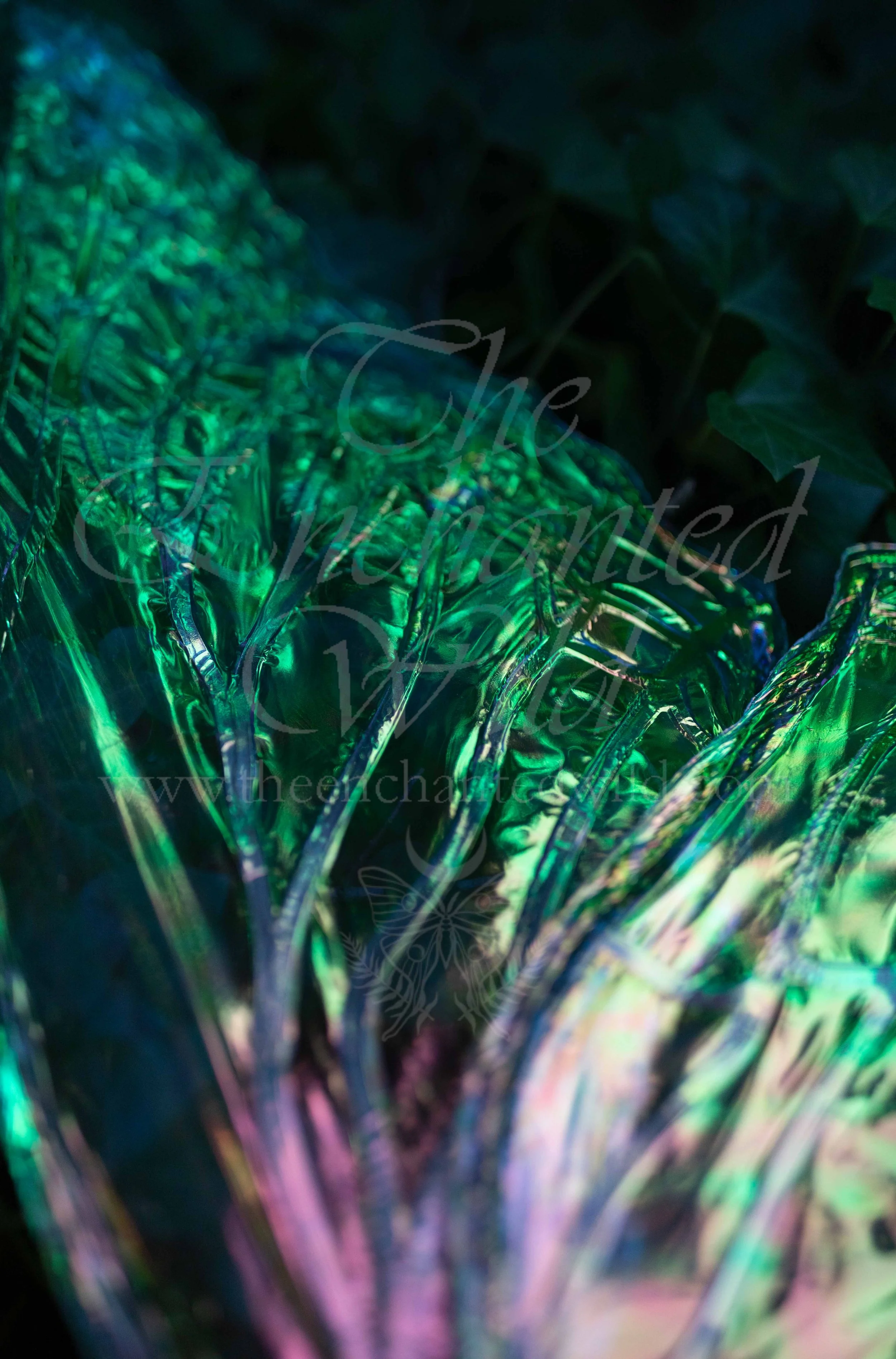 !Small Versions of Wing Files-91.JPG