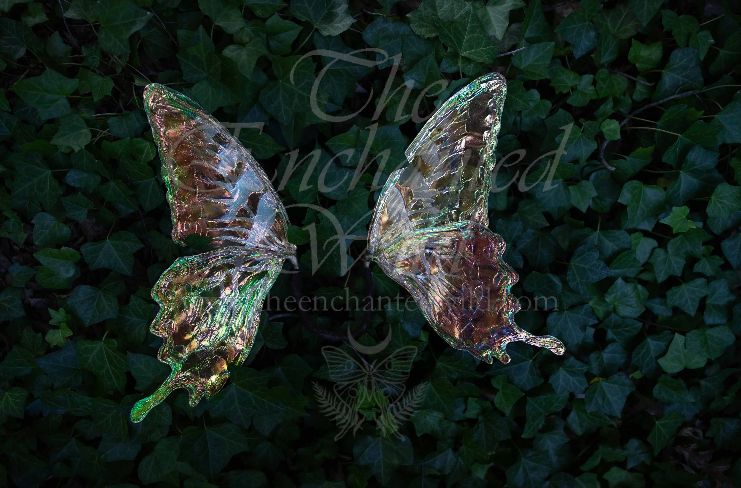 !Small Versions of Wing Files-103.JPG