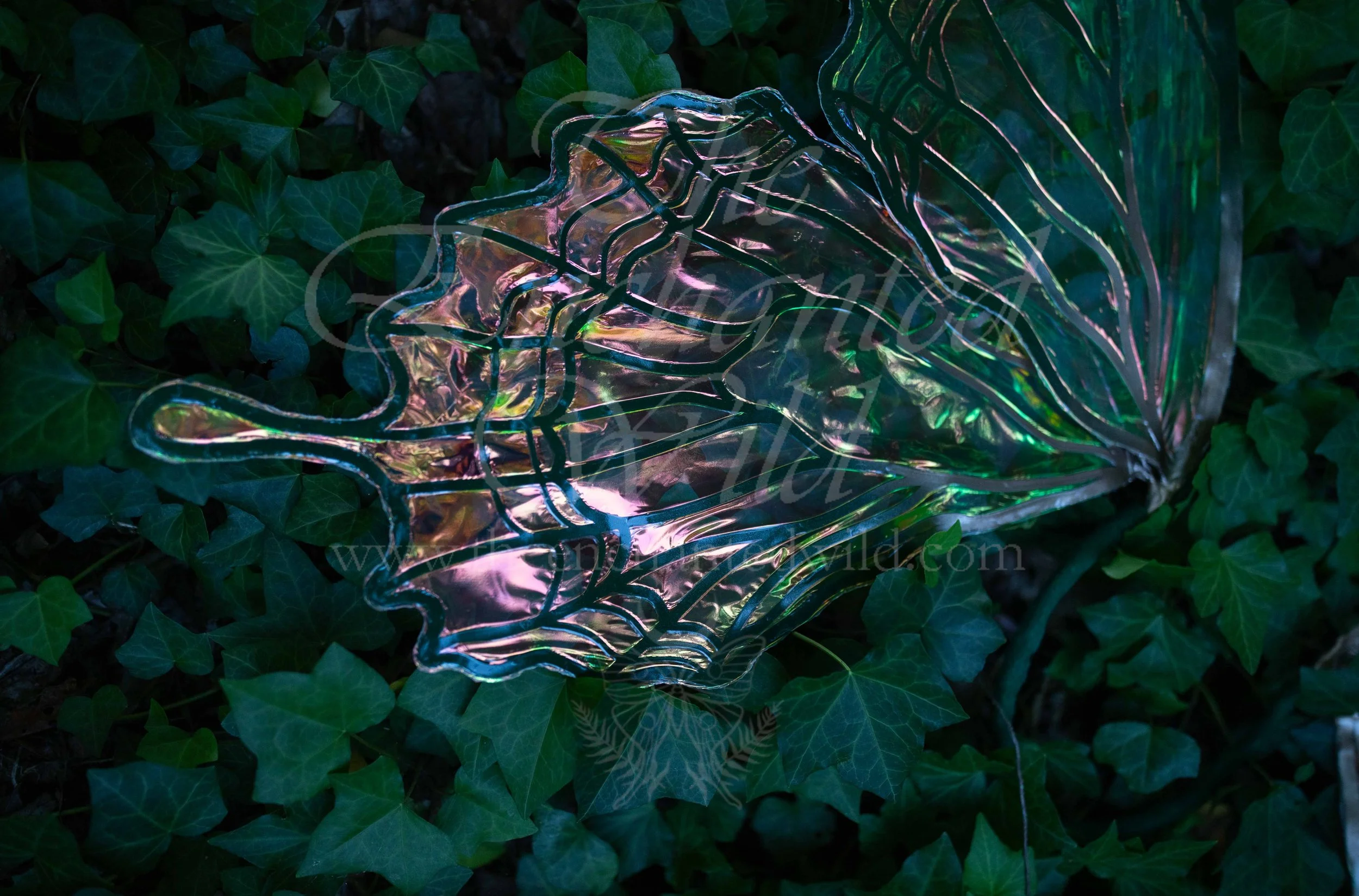 !Small Versions of Wing Files-80.JPG