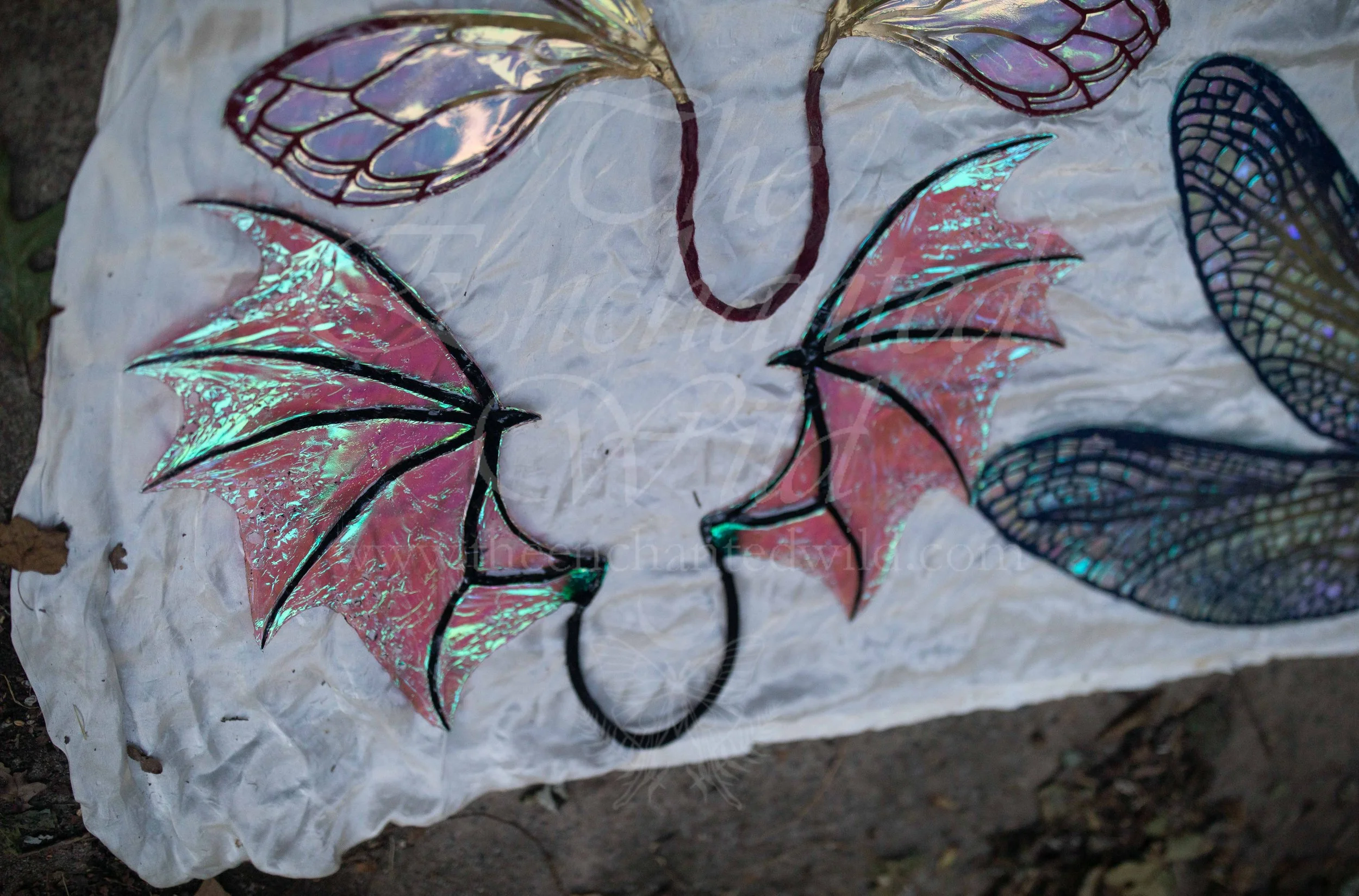 !Small Versions of Wing Files-215.JPG