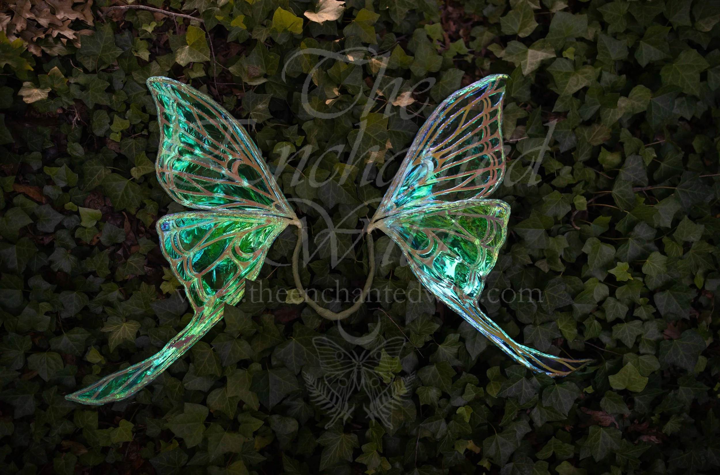 !Small Versions of Wing Files-72.JPG