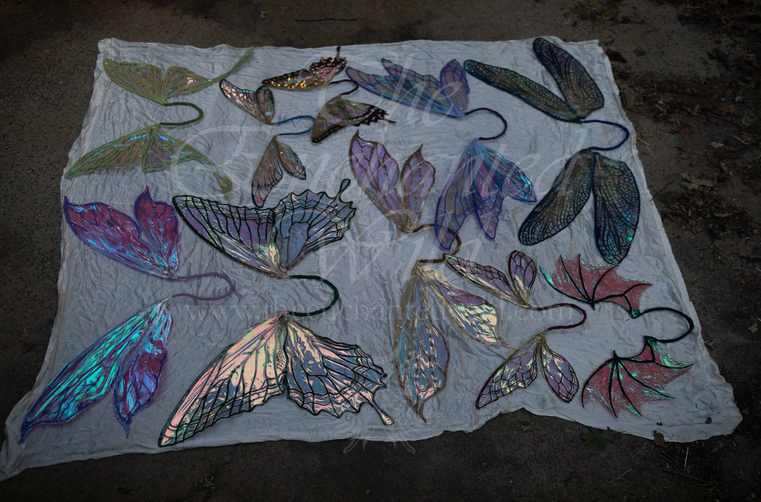 !Small Versions of Wing Files-204.JPG