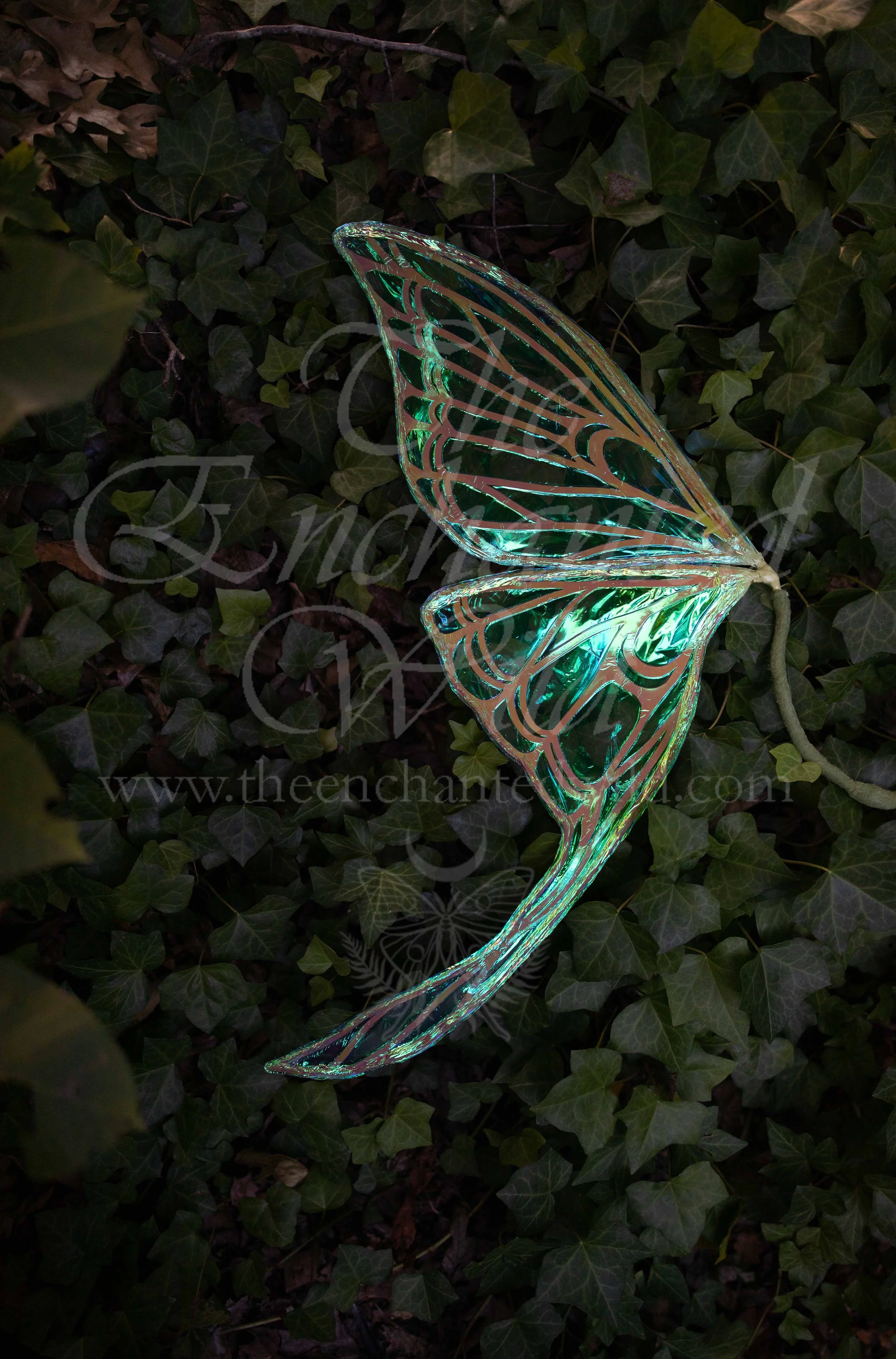 !Small Versions of Wing Files-76.JPG