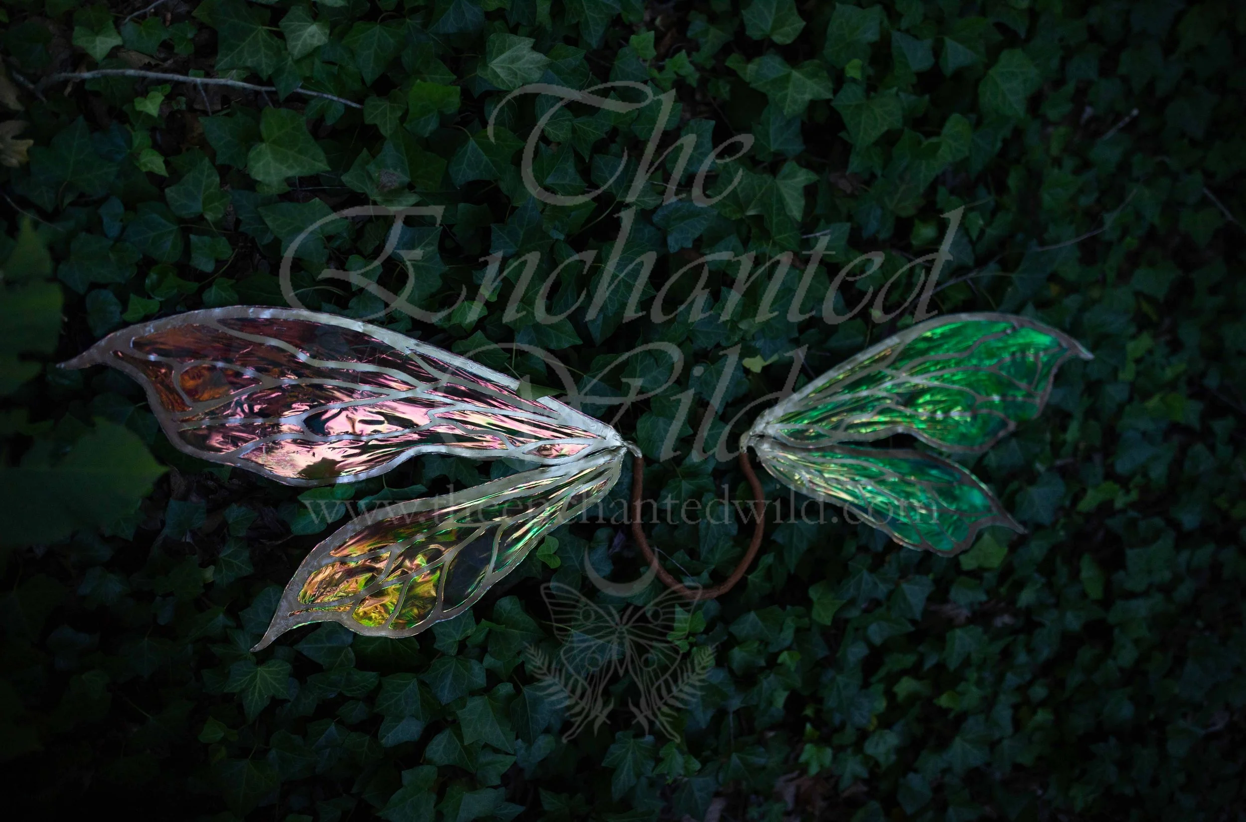 !Small Versions of Wing Files-54.JPG