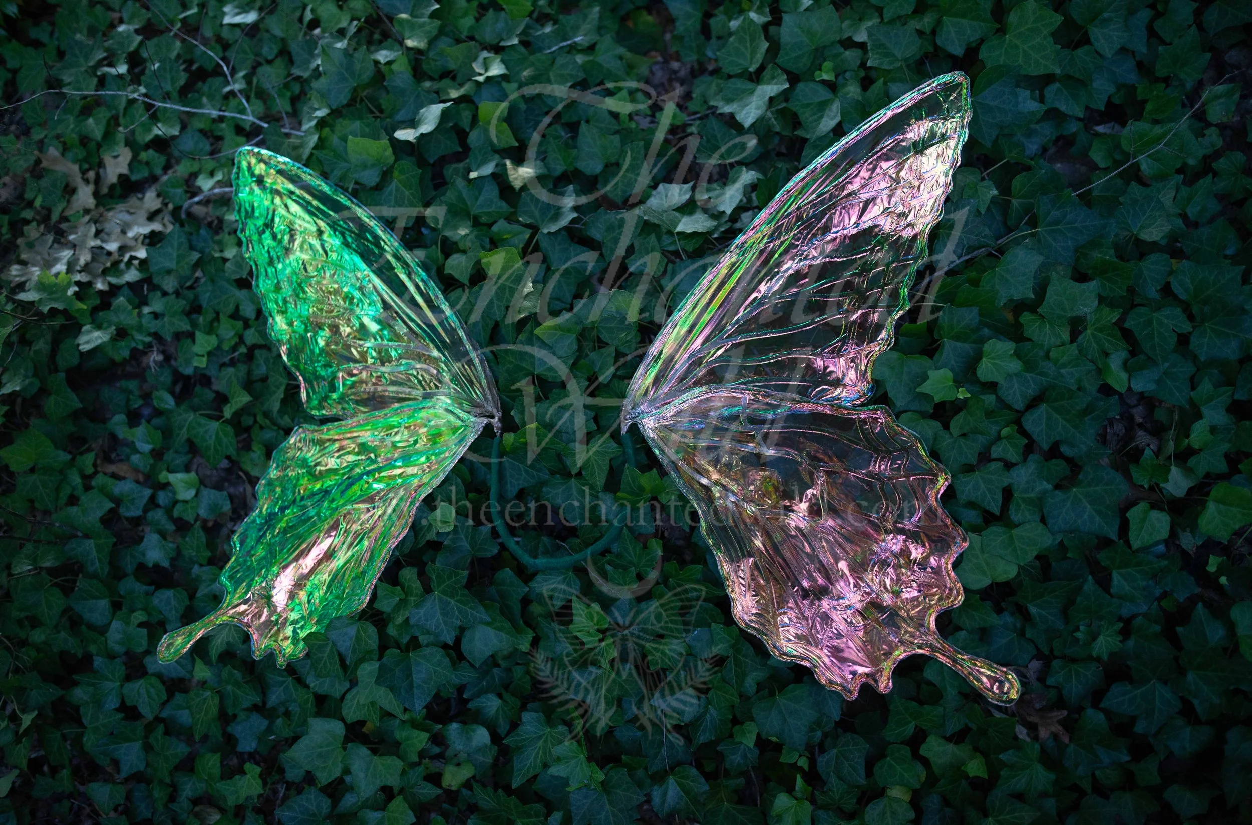 !Small Versions of Wing Files-86.JPG