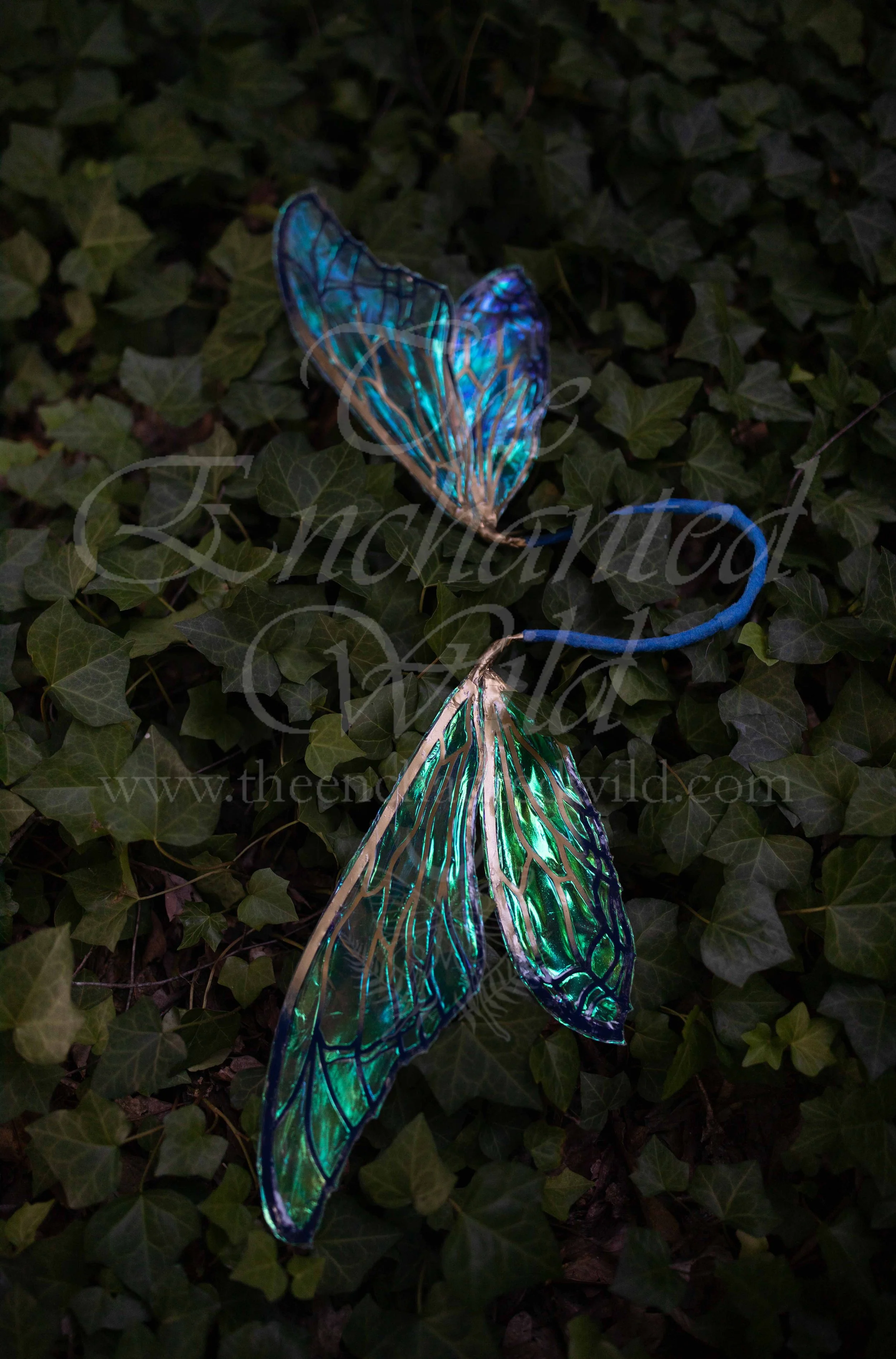 !Small Versions of Wing Files-131.JPG