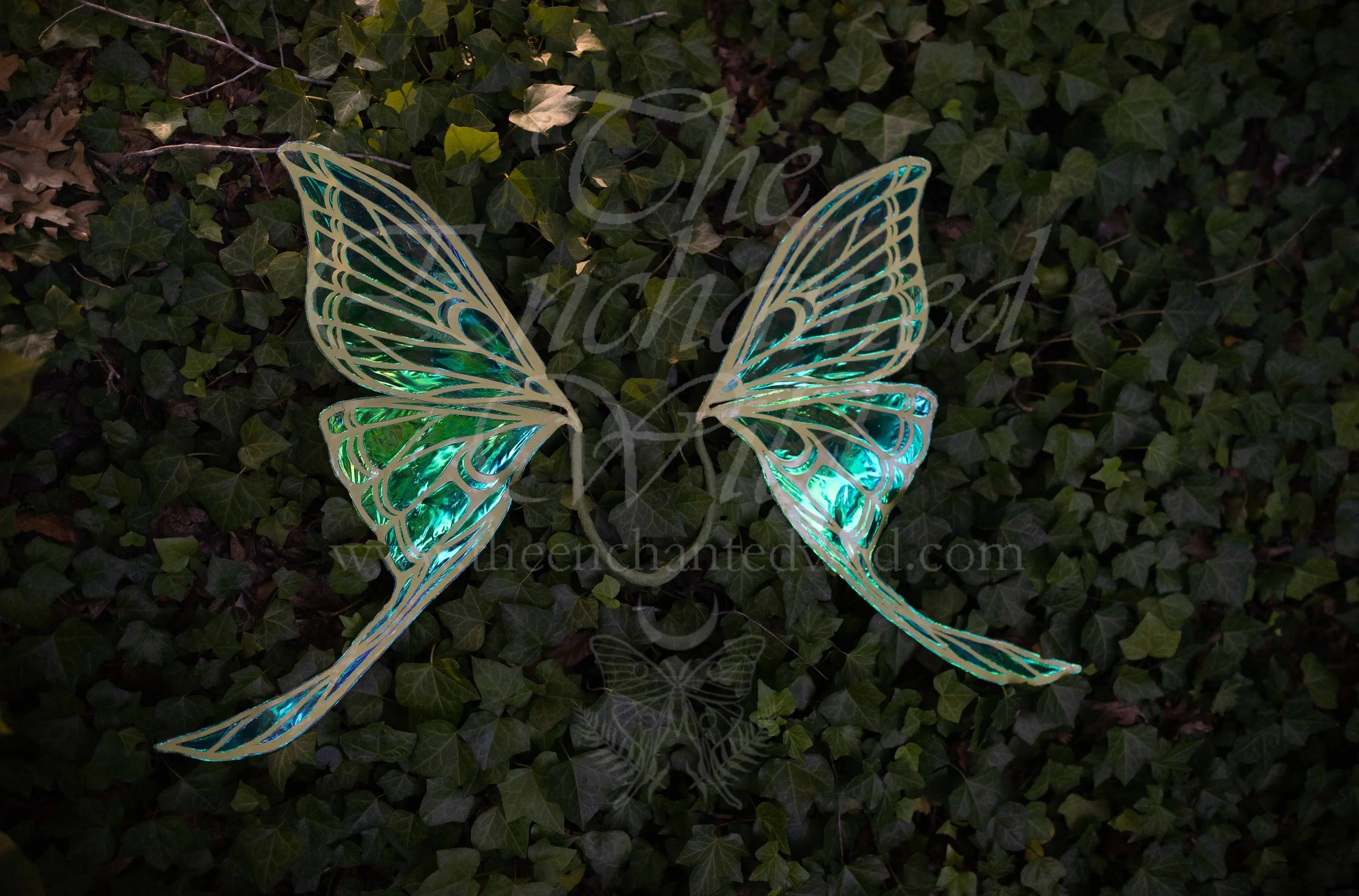 !Small Versions of Wing Files-64.JPG