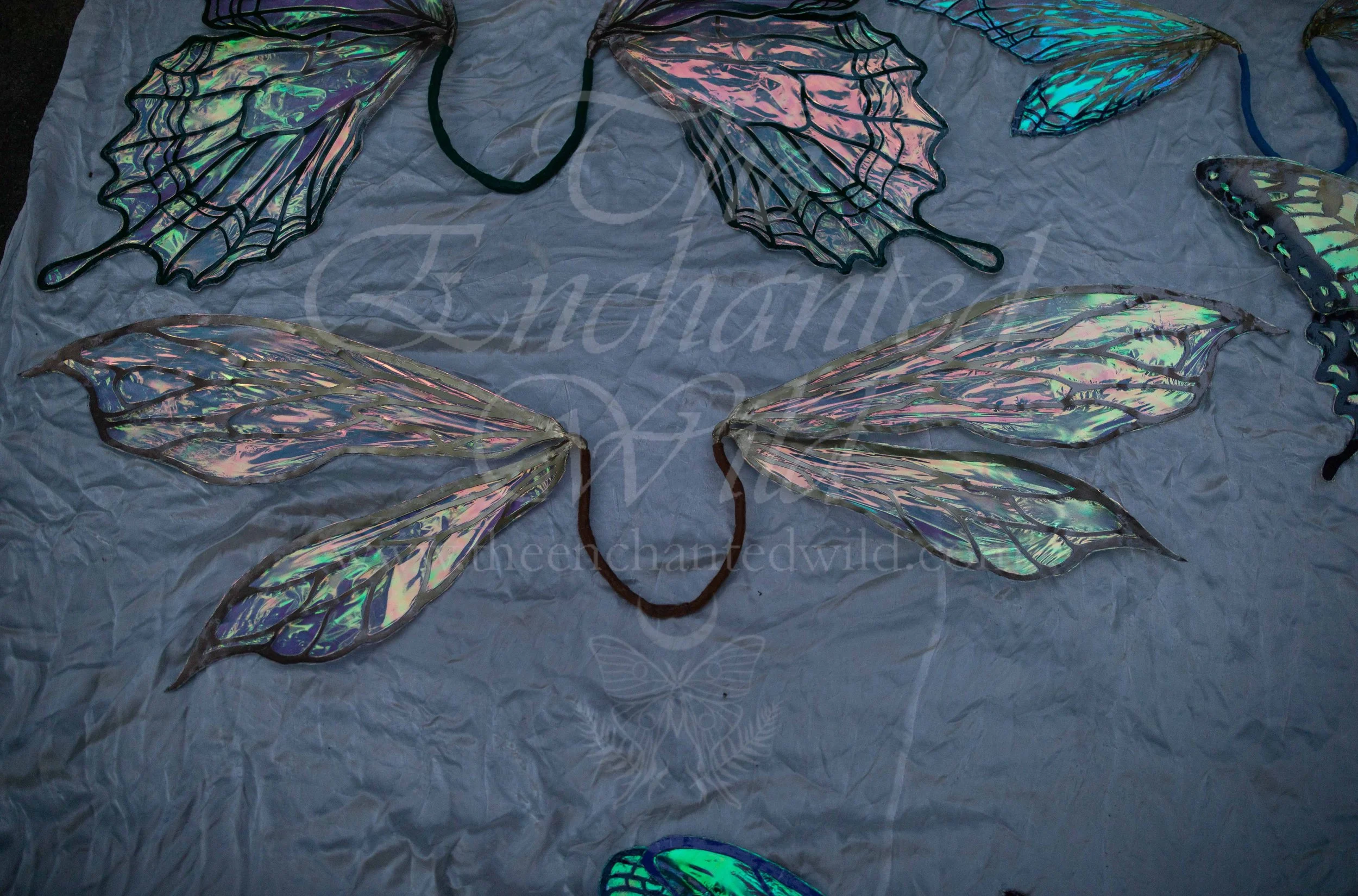 !Small Versions of Wing Files-226.JPG