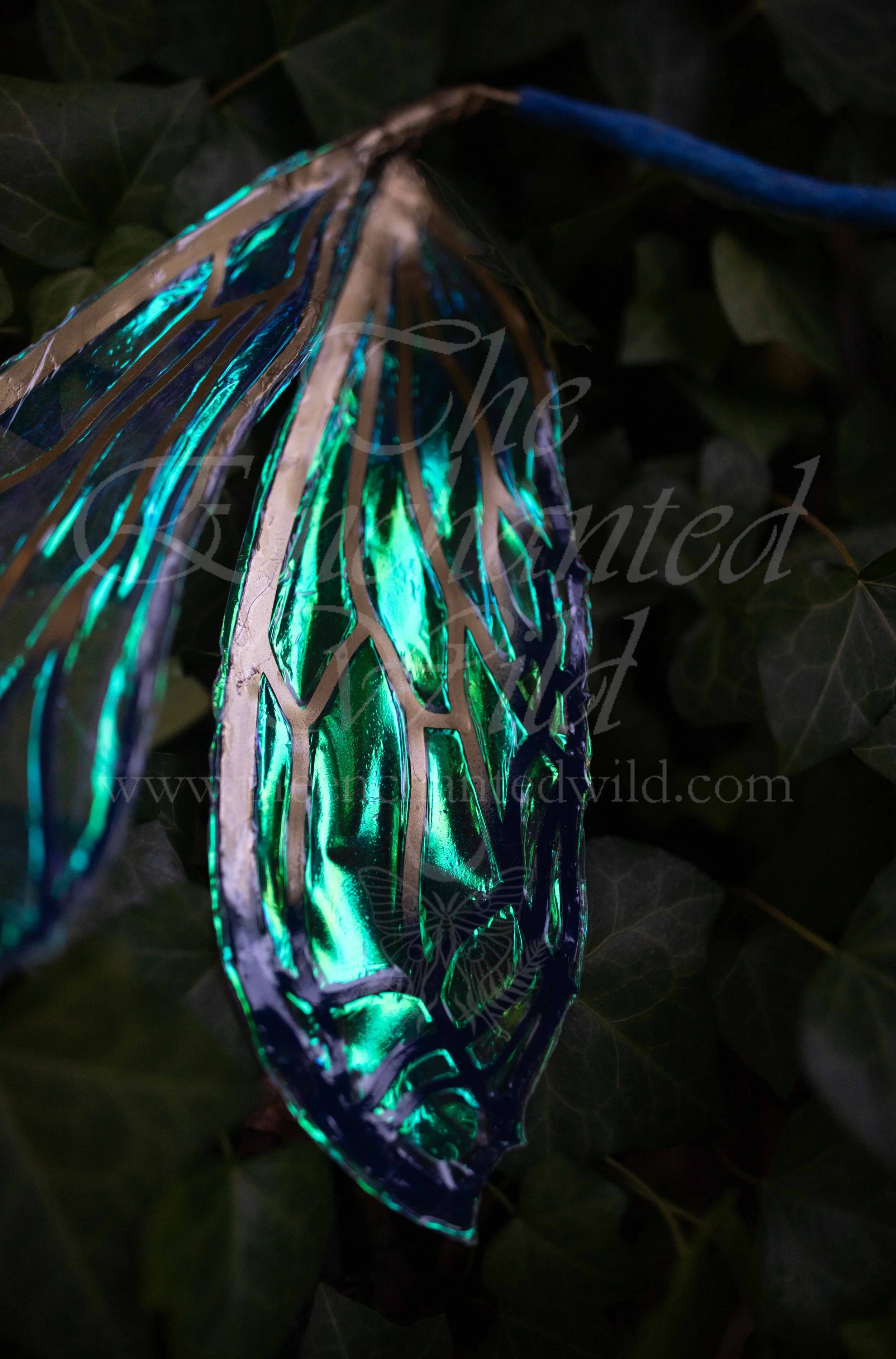 !Small Versions of Wing Files-132.JPG