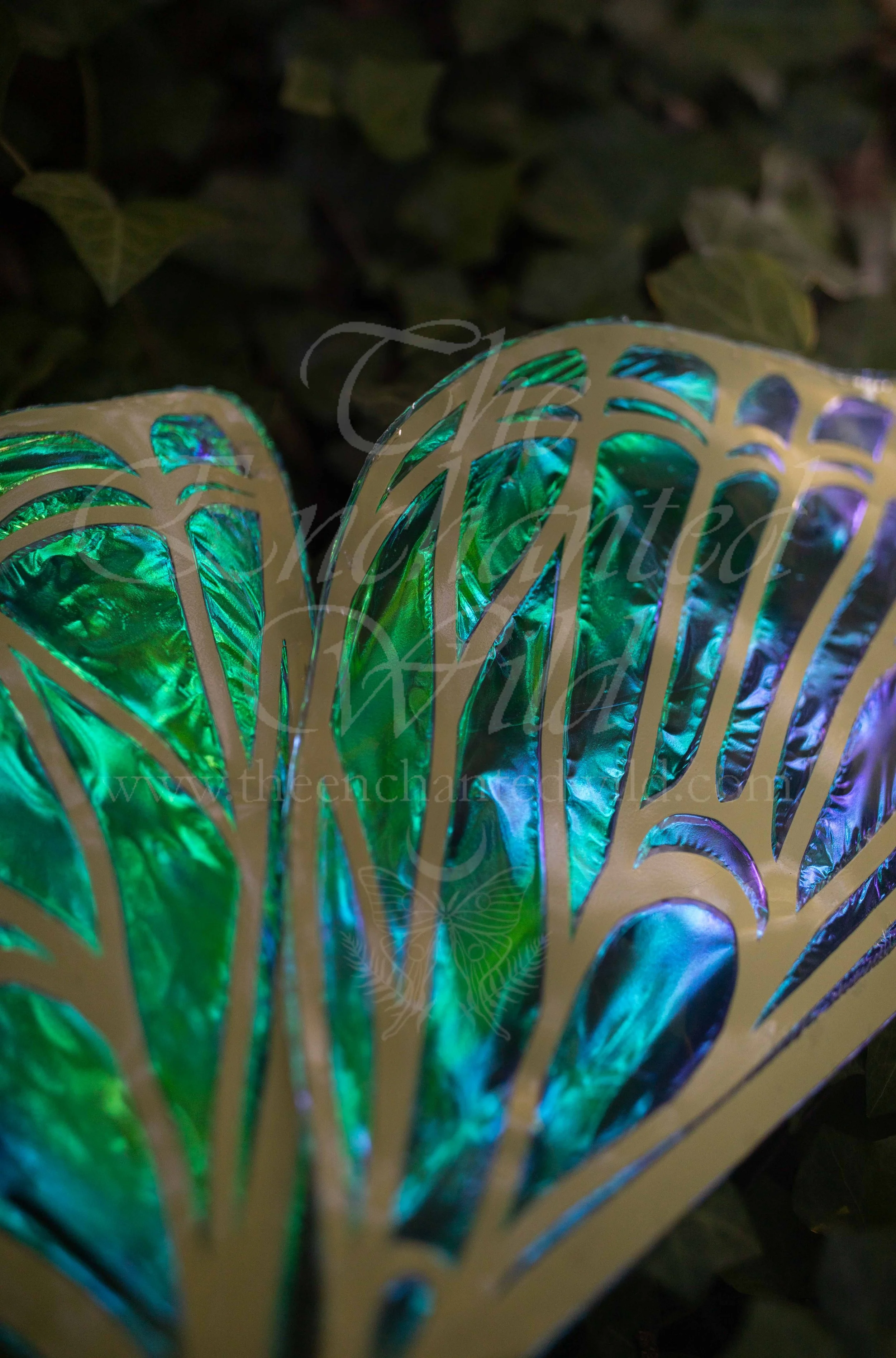 !Small Versions of Wing Files-67.JPG