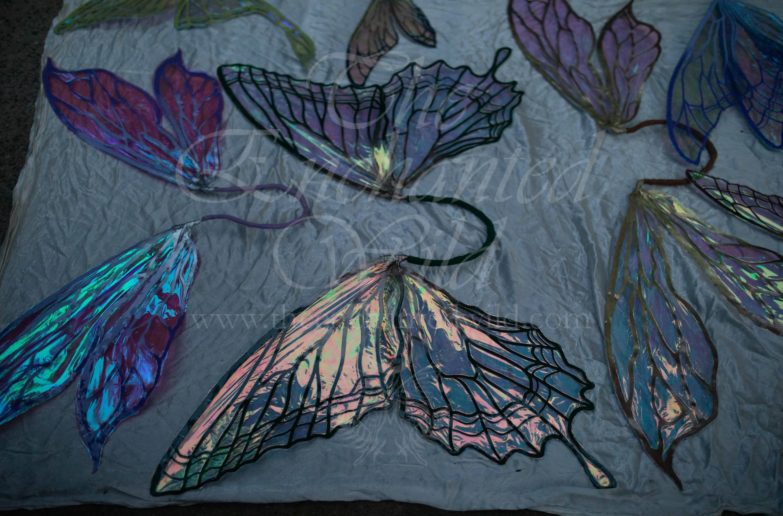 !Small Versions of Wing Files-188.JPG