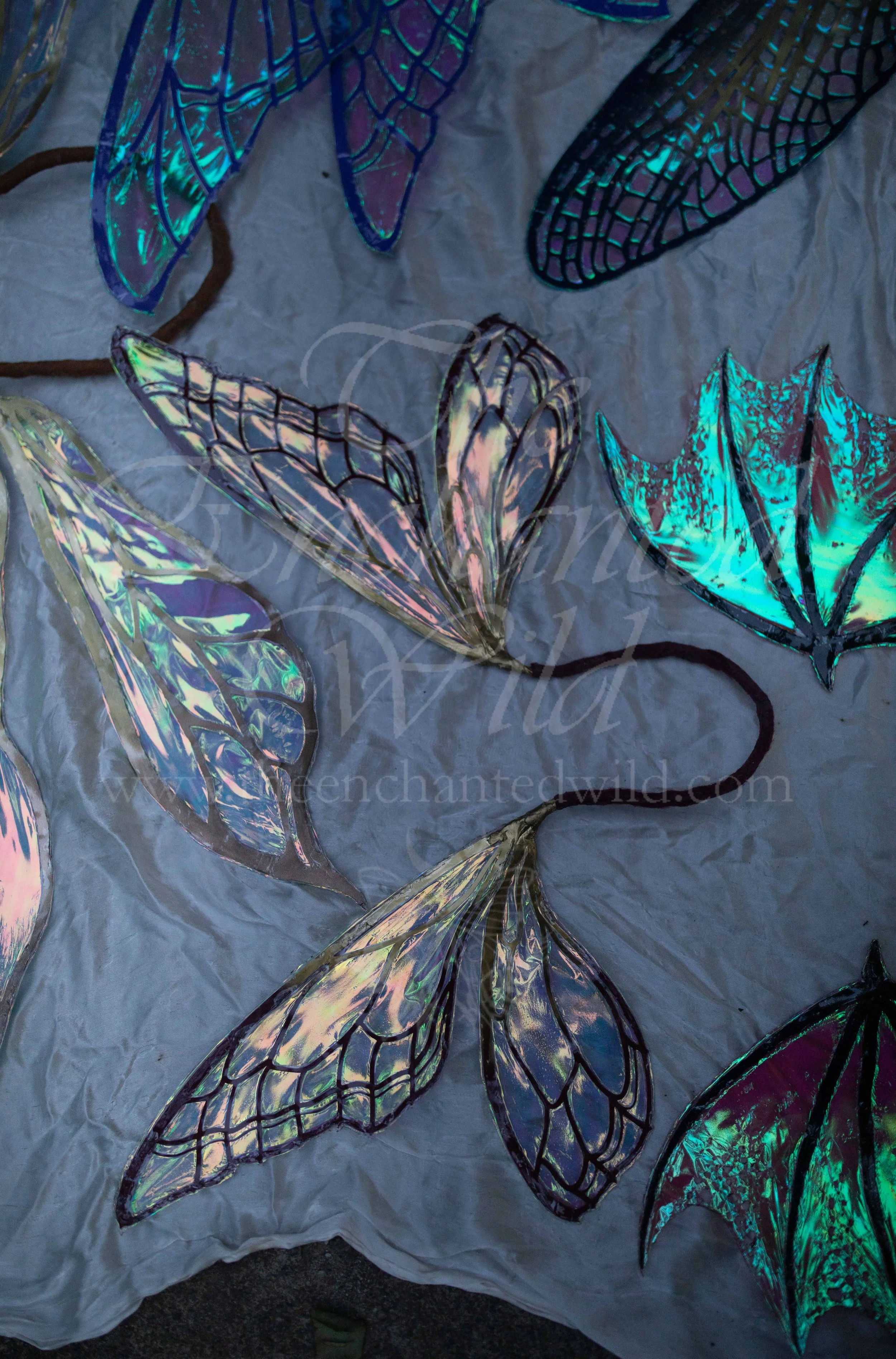 !Small Versions of Wing Files-180.JPG