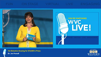 live-stream.png