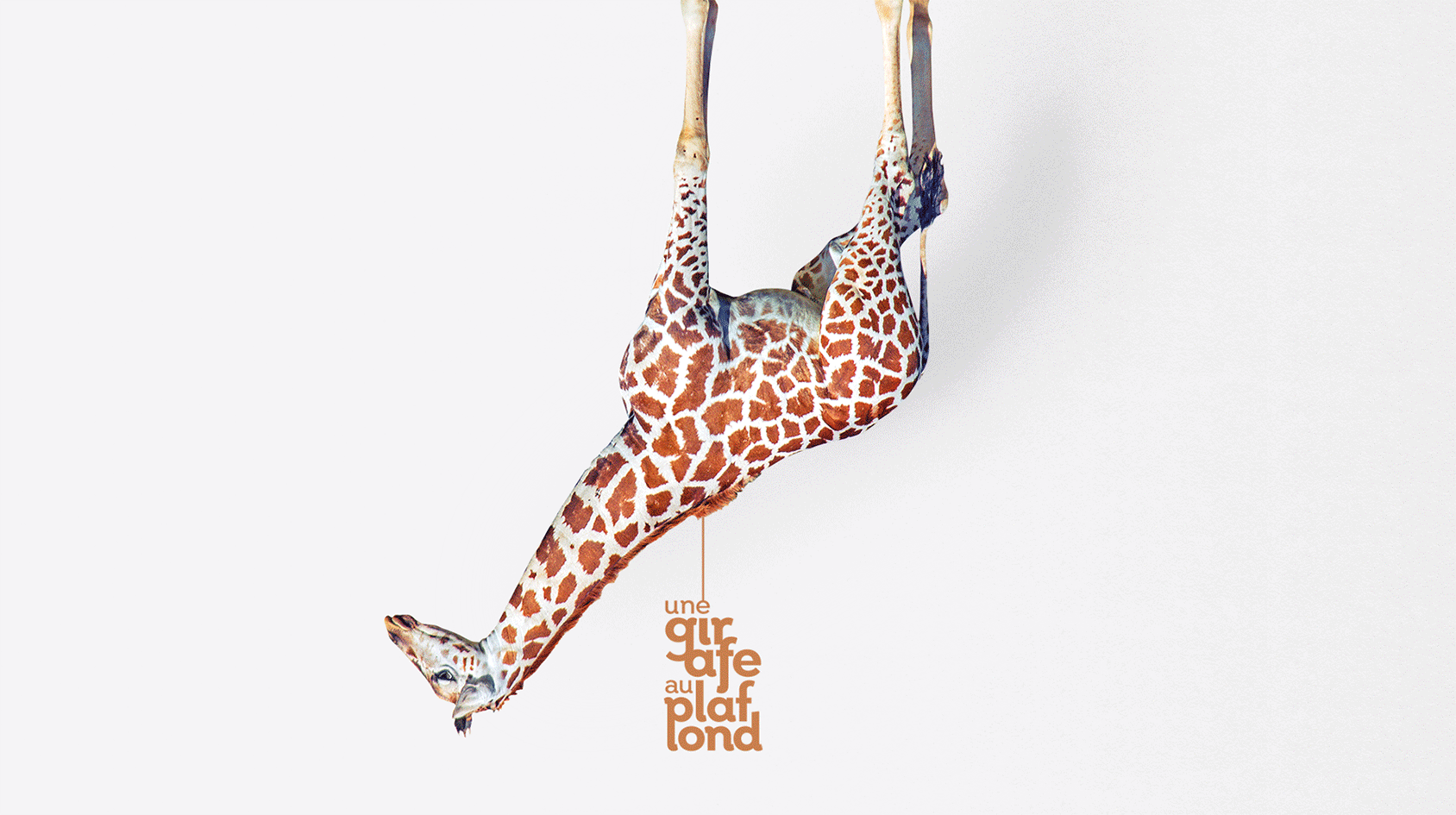 girafe-intro-large.gif