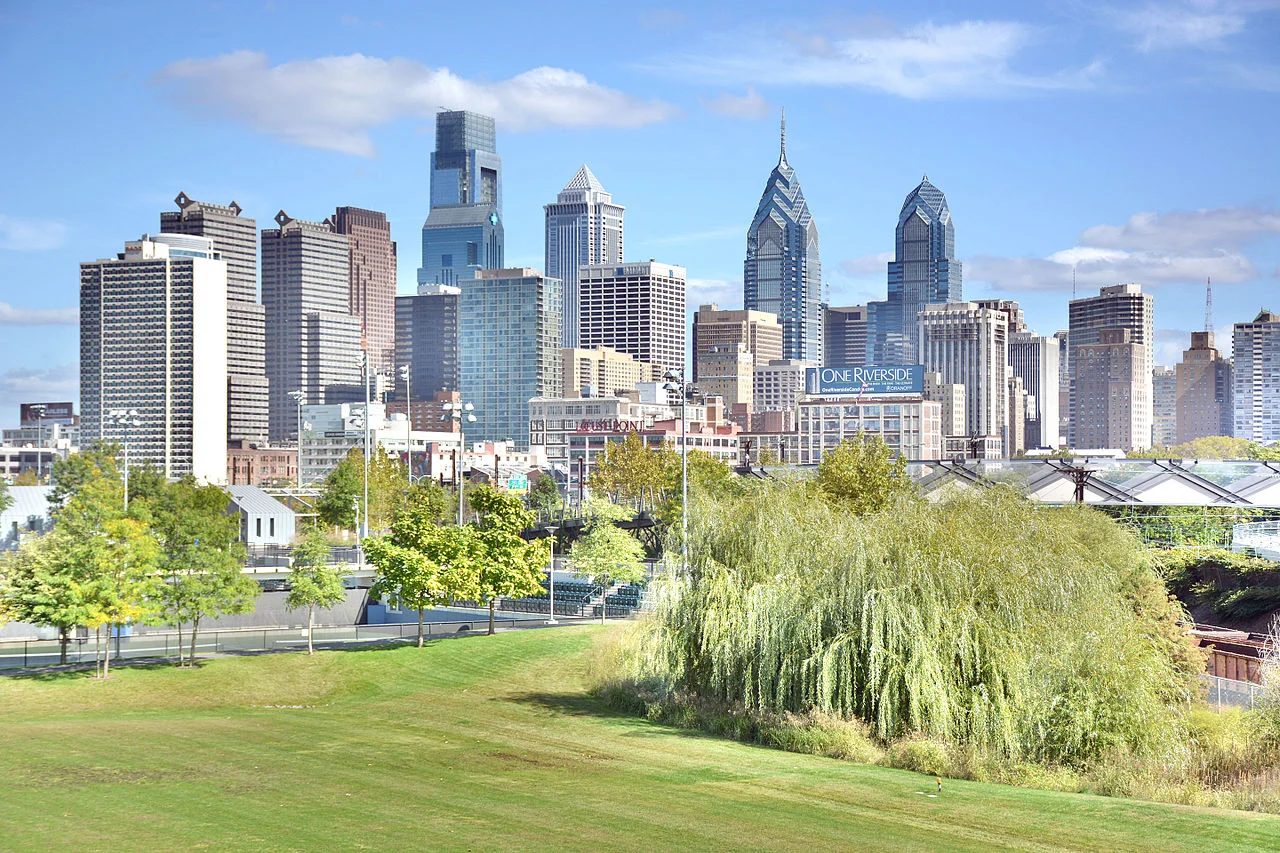 Philly Grass Pic 1 .jpg