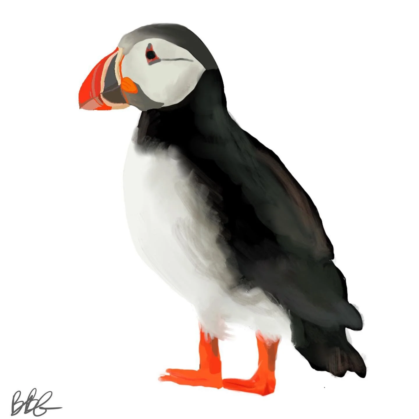 I was asked a few weeks ago to draw a puffin for a quick sketchbook piece. I decided to illustrate it fully instead. 
#art #artist #illustration #femaleartist #femaleillustrator #womanartist #femaleartists #womenartists #womeninarts #womeninart  #ar