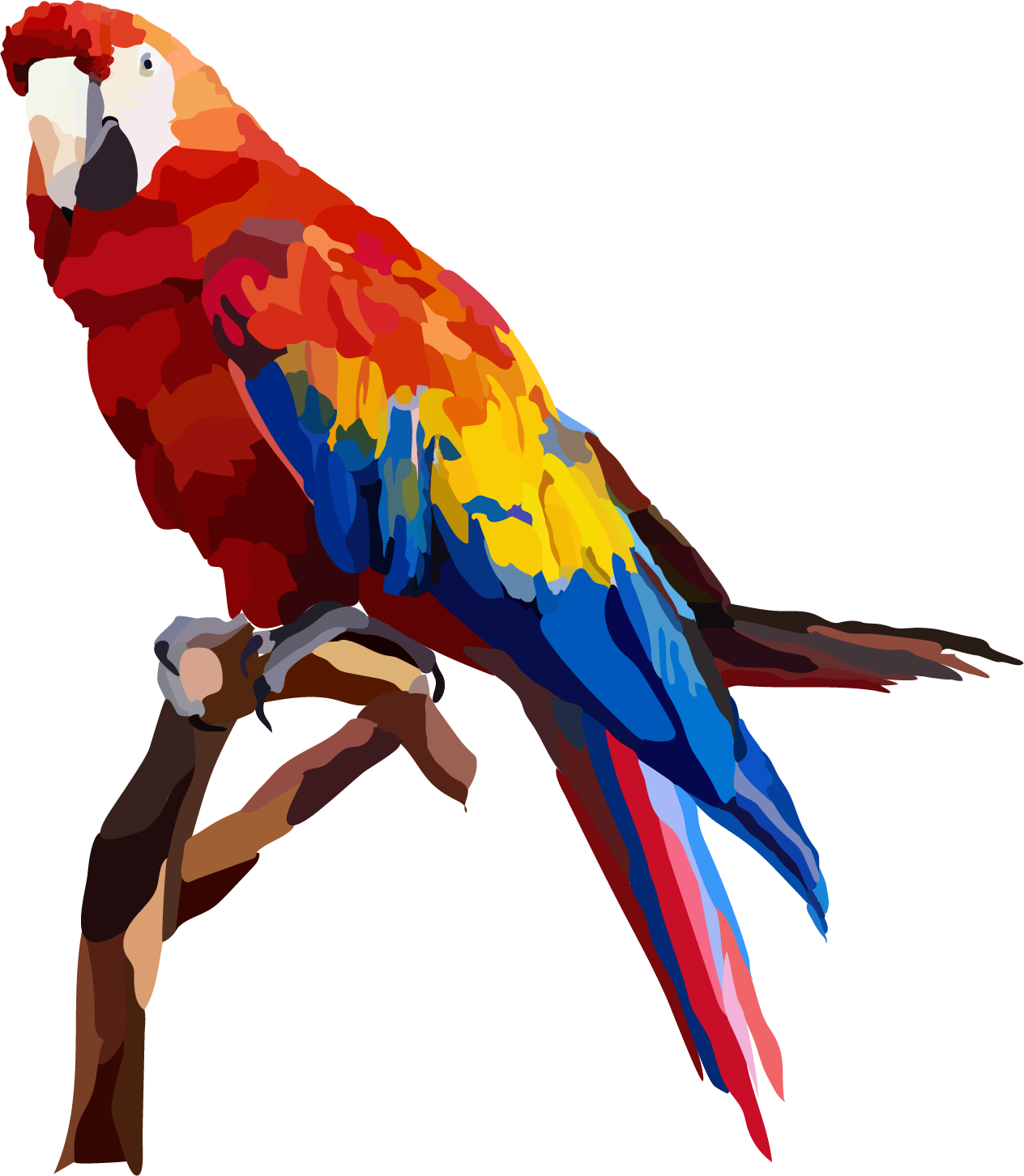 parrot.png