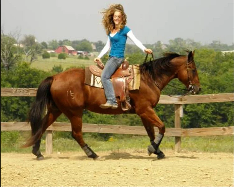 Part 1: Sales management Moving forward? Backward? Standing Still (aka backward)?