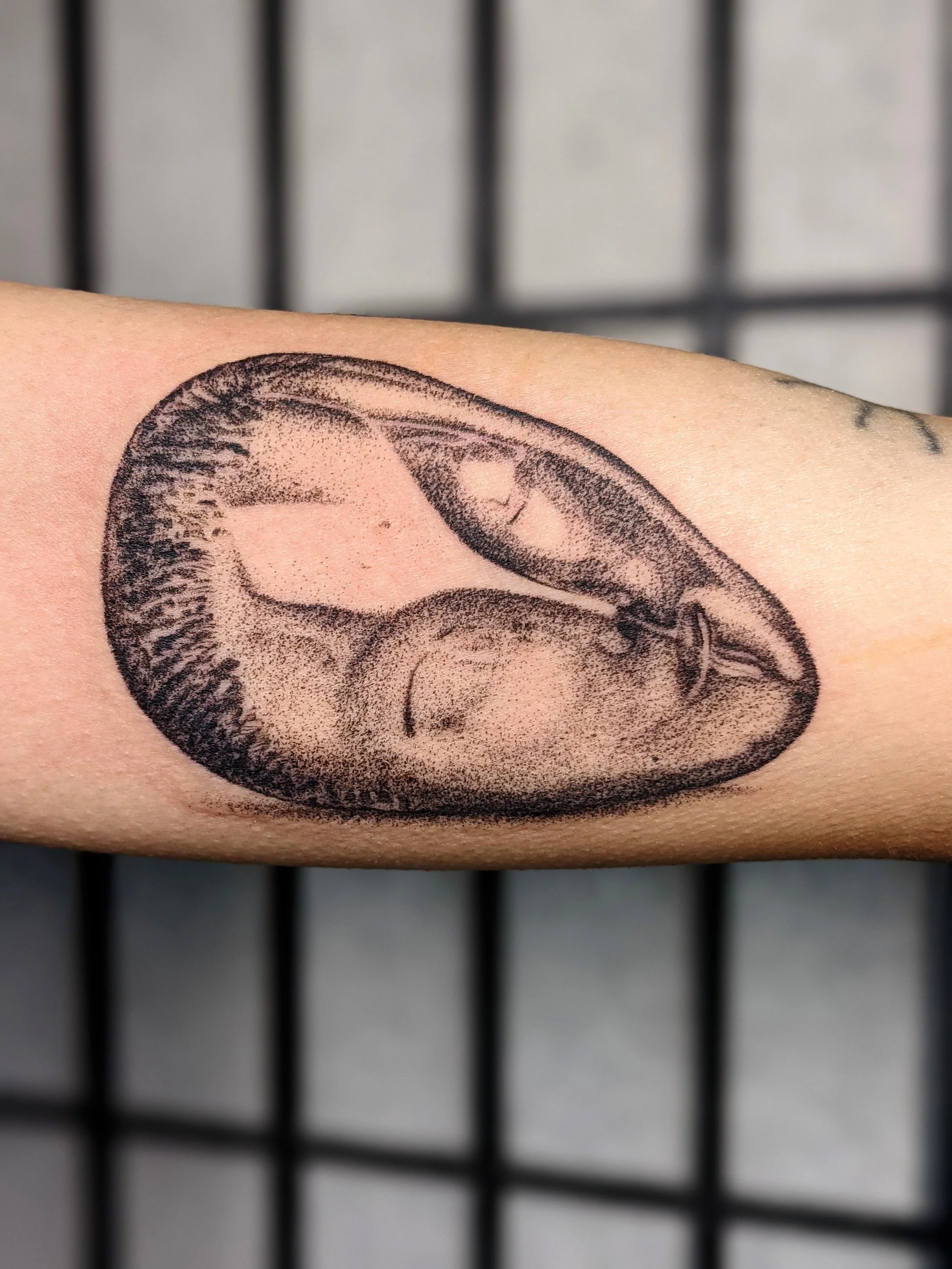 Reproduction of Brancusi's "Sleeping Muse", October 2021