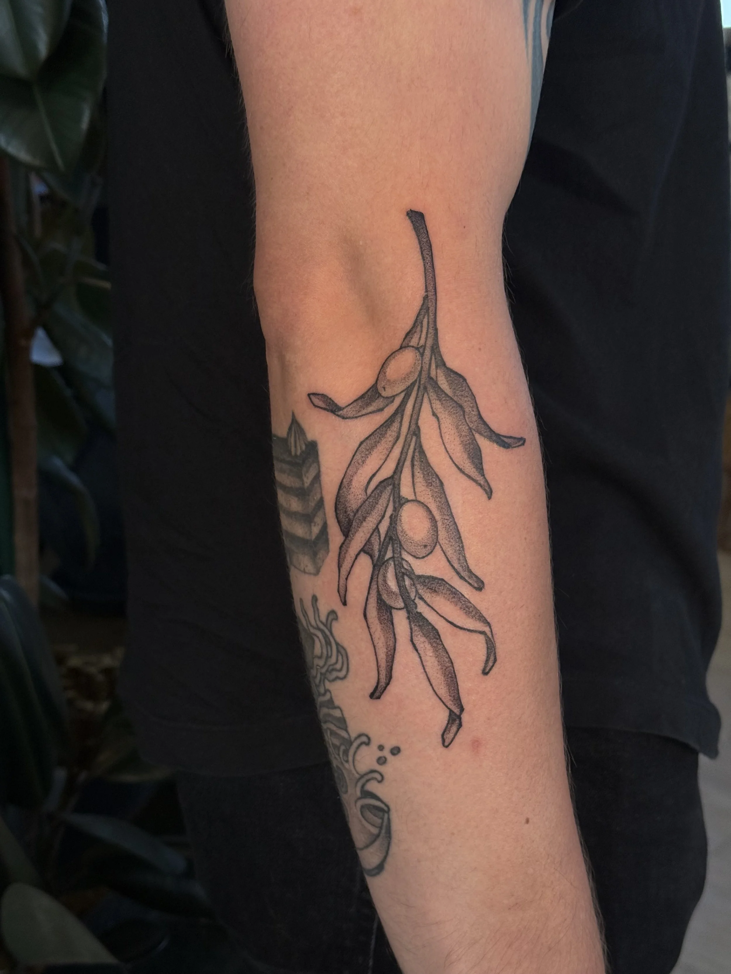 Free-handed olive branch