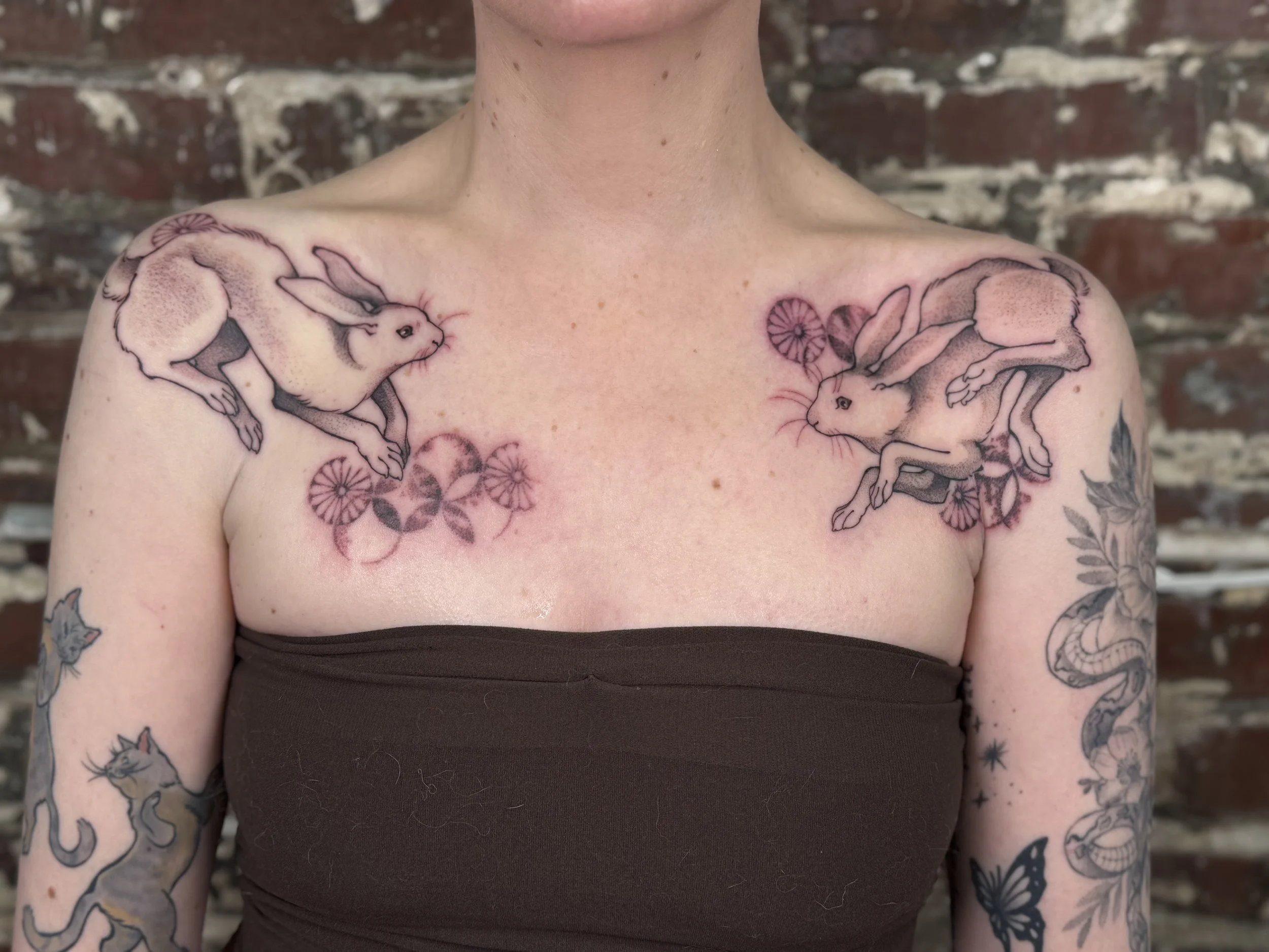 Rabbits & Patterns