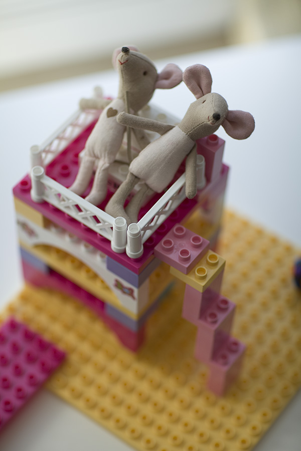 IMG_6609032013img_6609 kopia.jpg