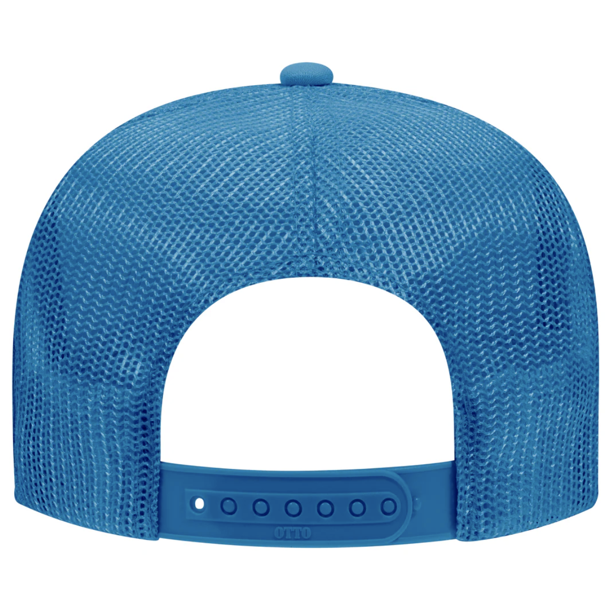 BC "Dreams Come True" Trucker Hat Columbia Blue Back.png