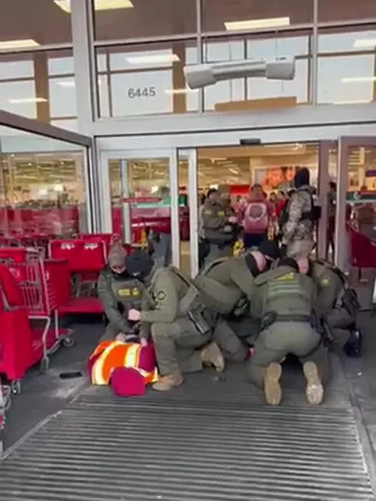 Five ICE agents hold two US citizen Target employees on the ground