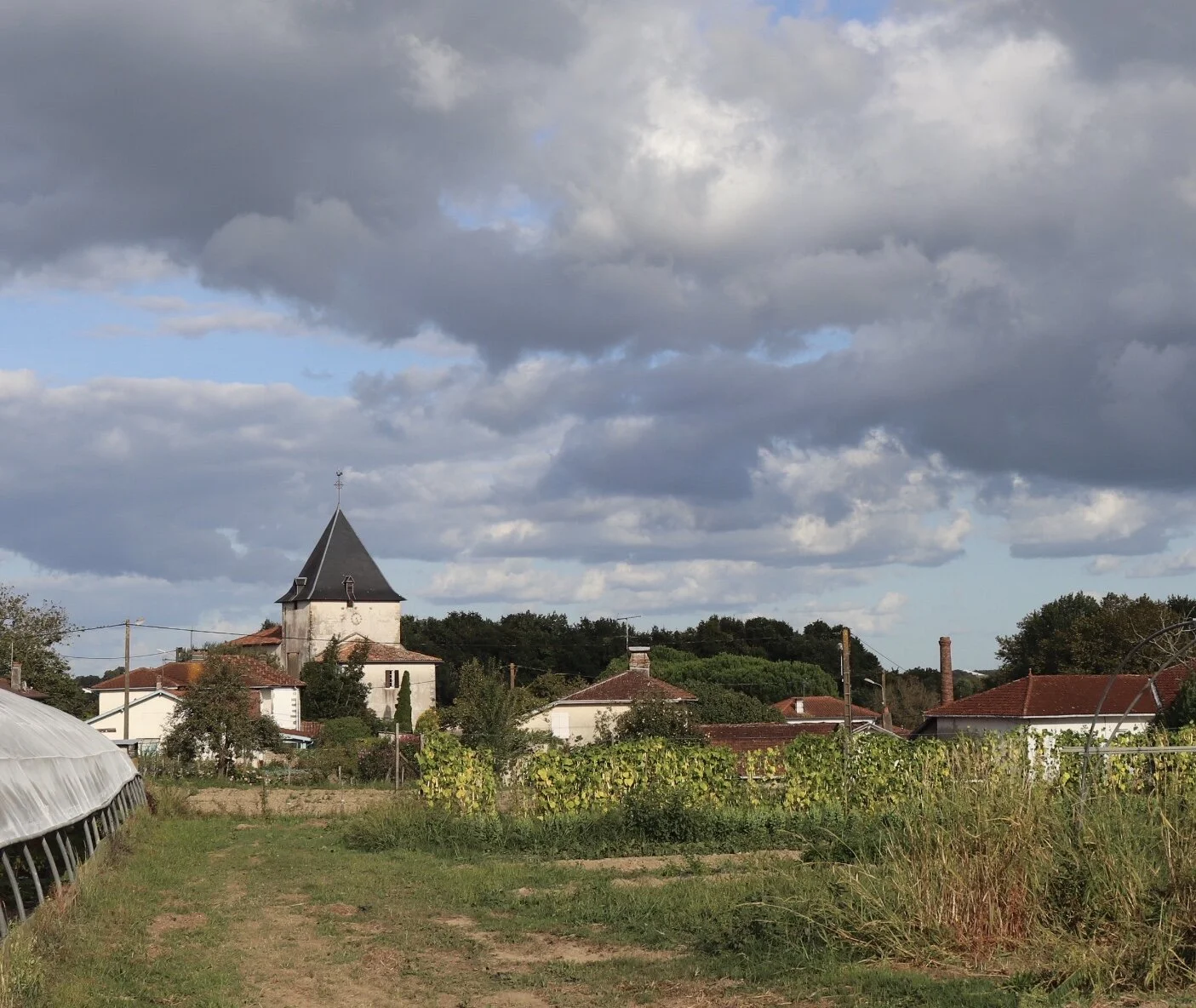 WWOOFing: Farm Life in the South of France