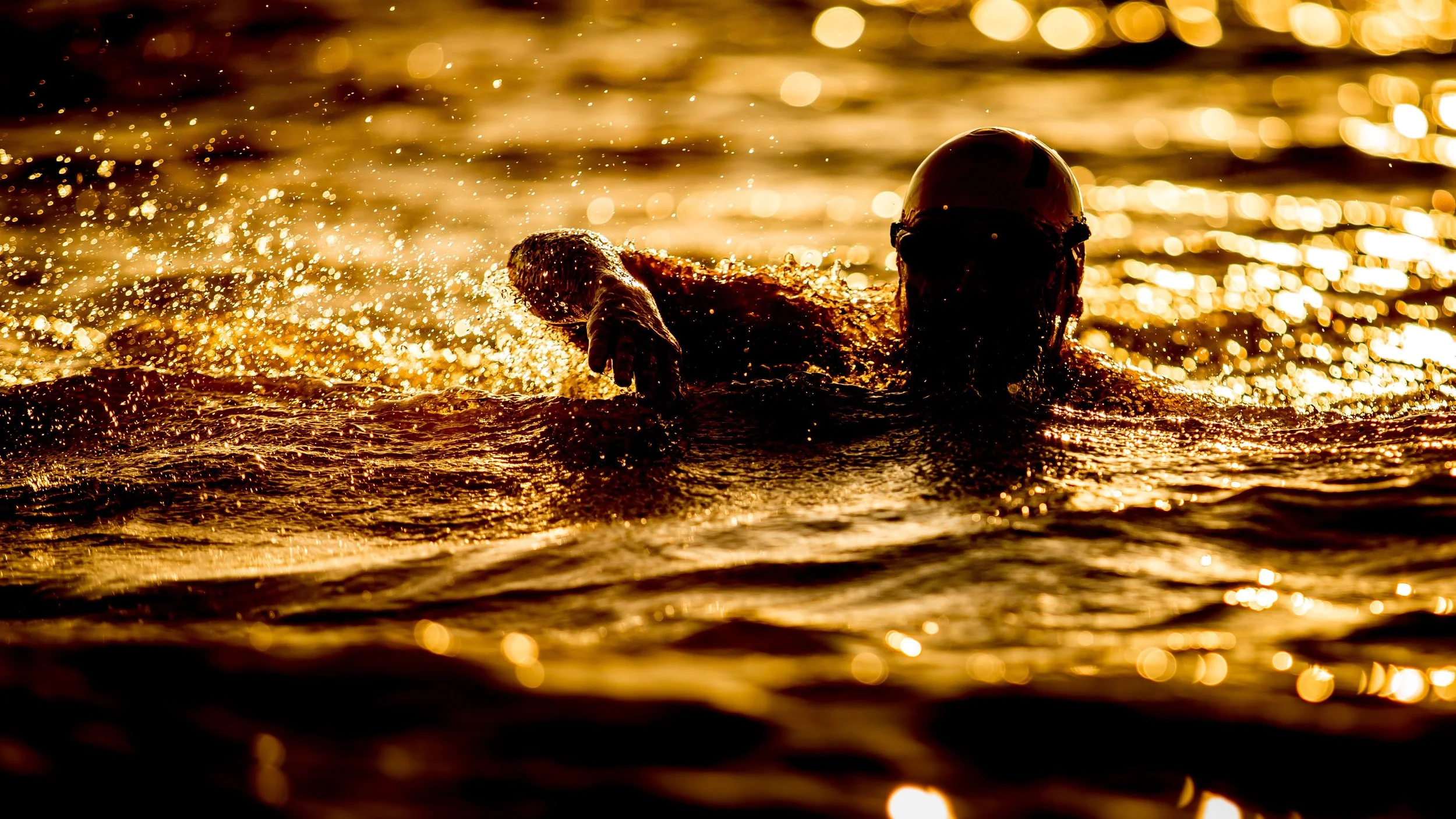 swimmer sea sunrise.jpg
