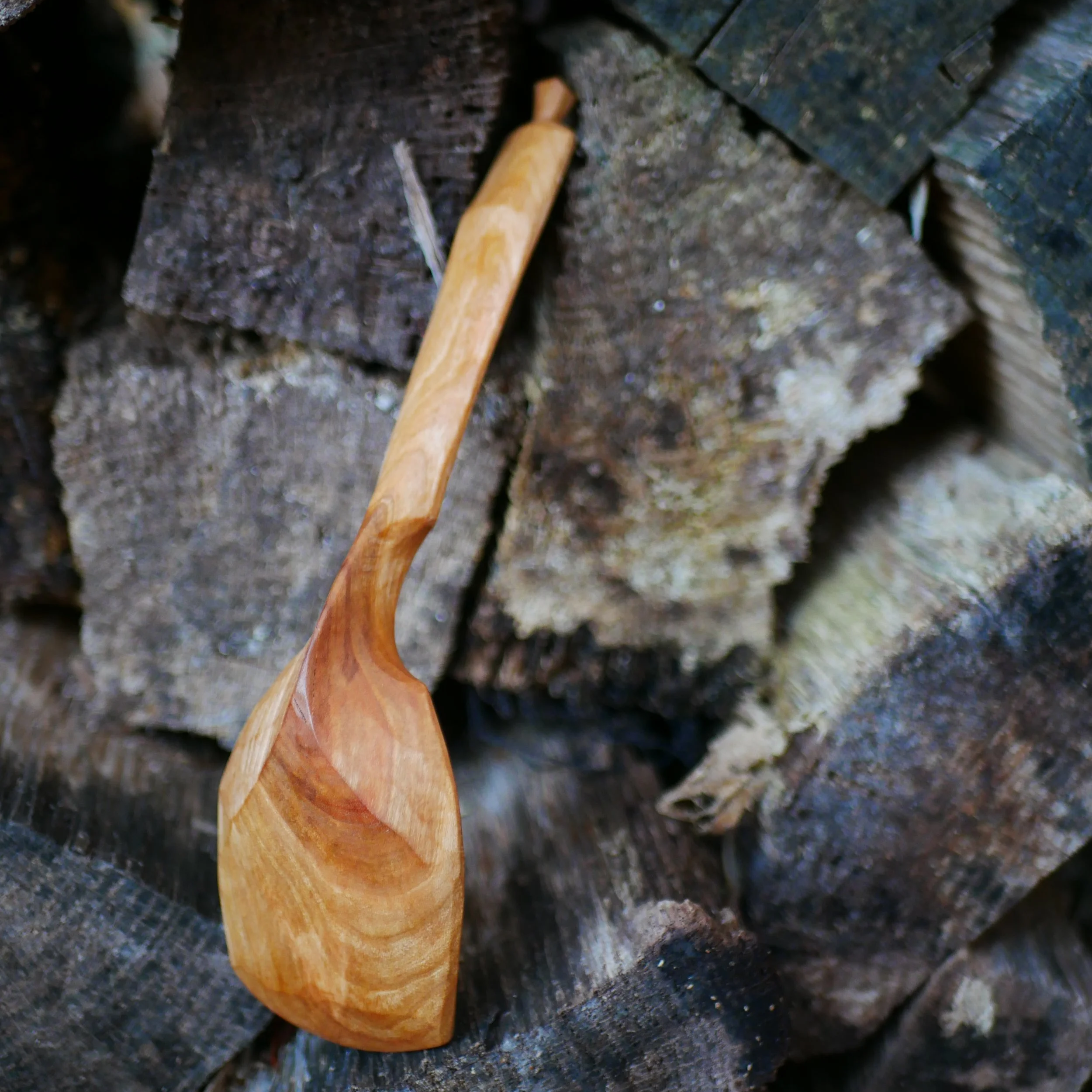 P1050071.png