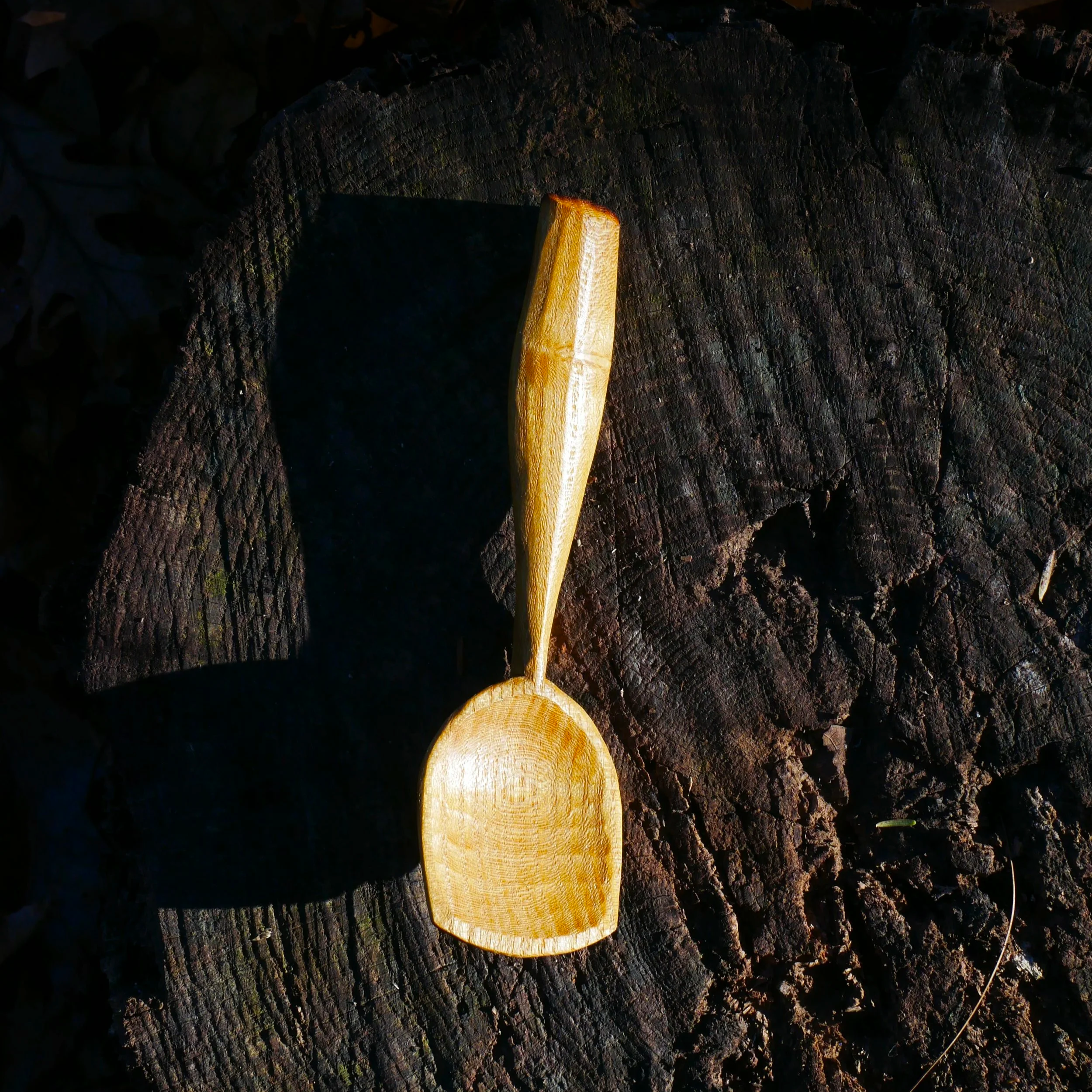 P1050150.png