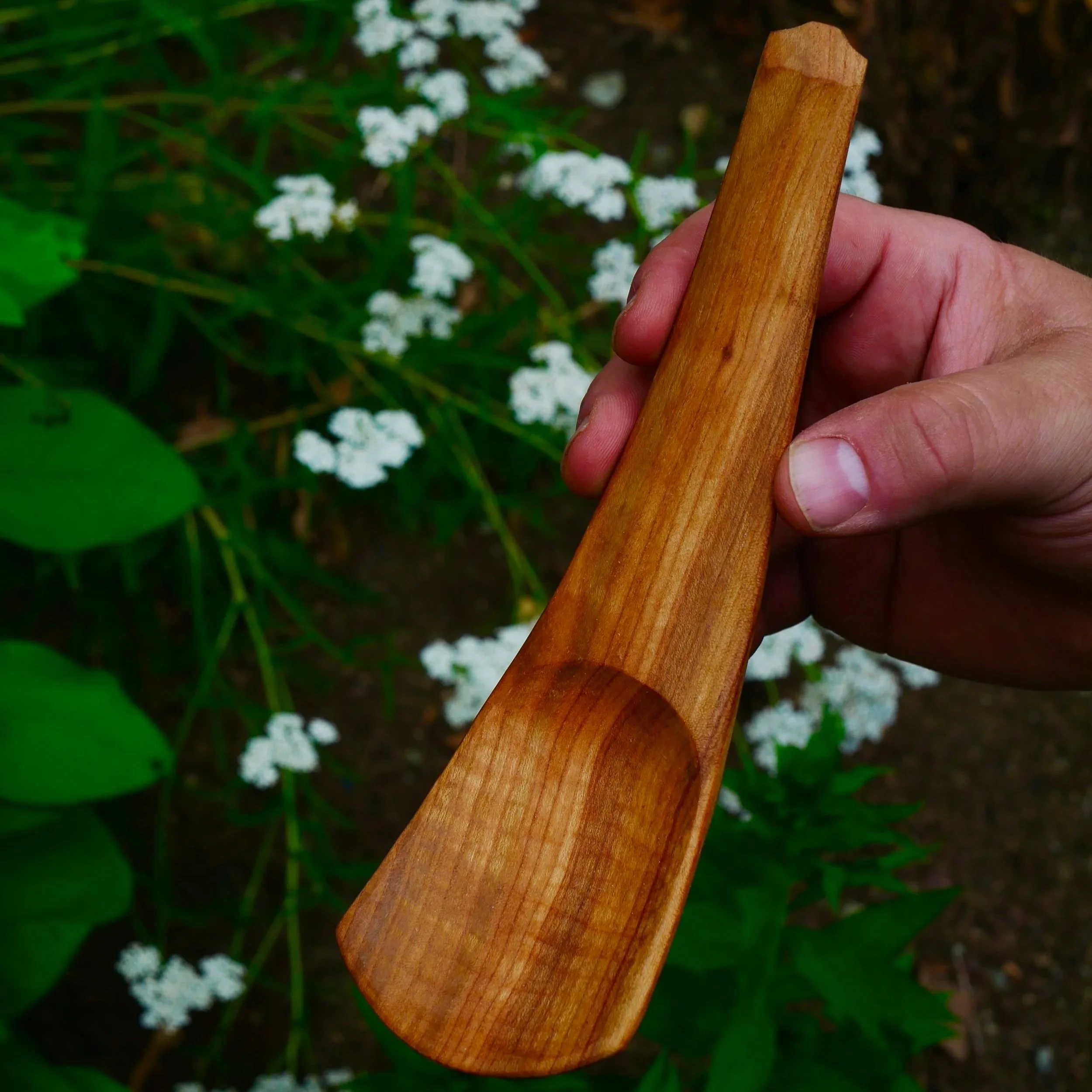 Cherry Scoop (No.331)