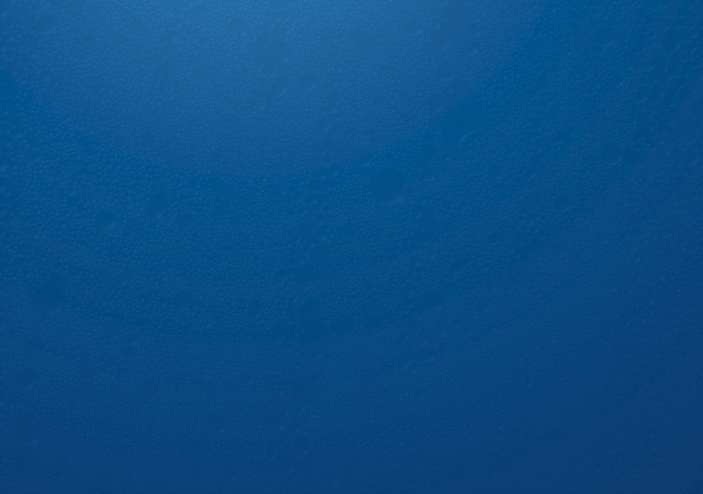 animation portfolio_1.gif