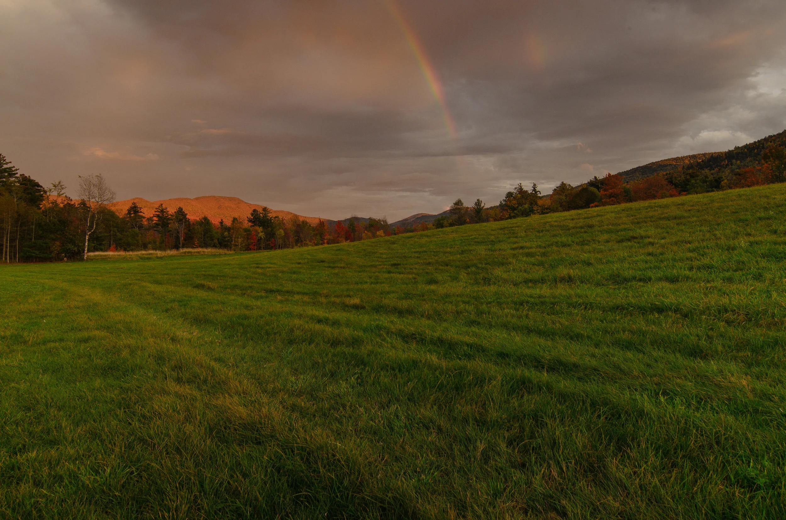 Highland Farms Rainbow 2 (1 of 1).jpg