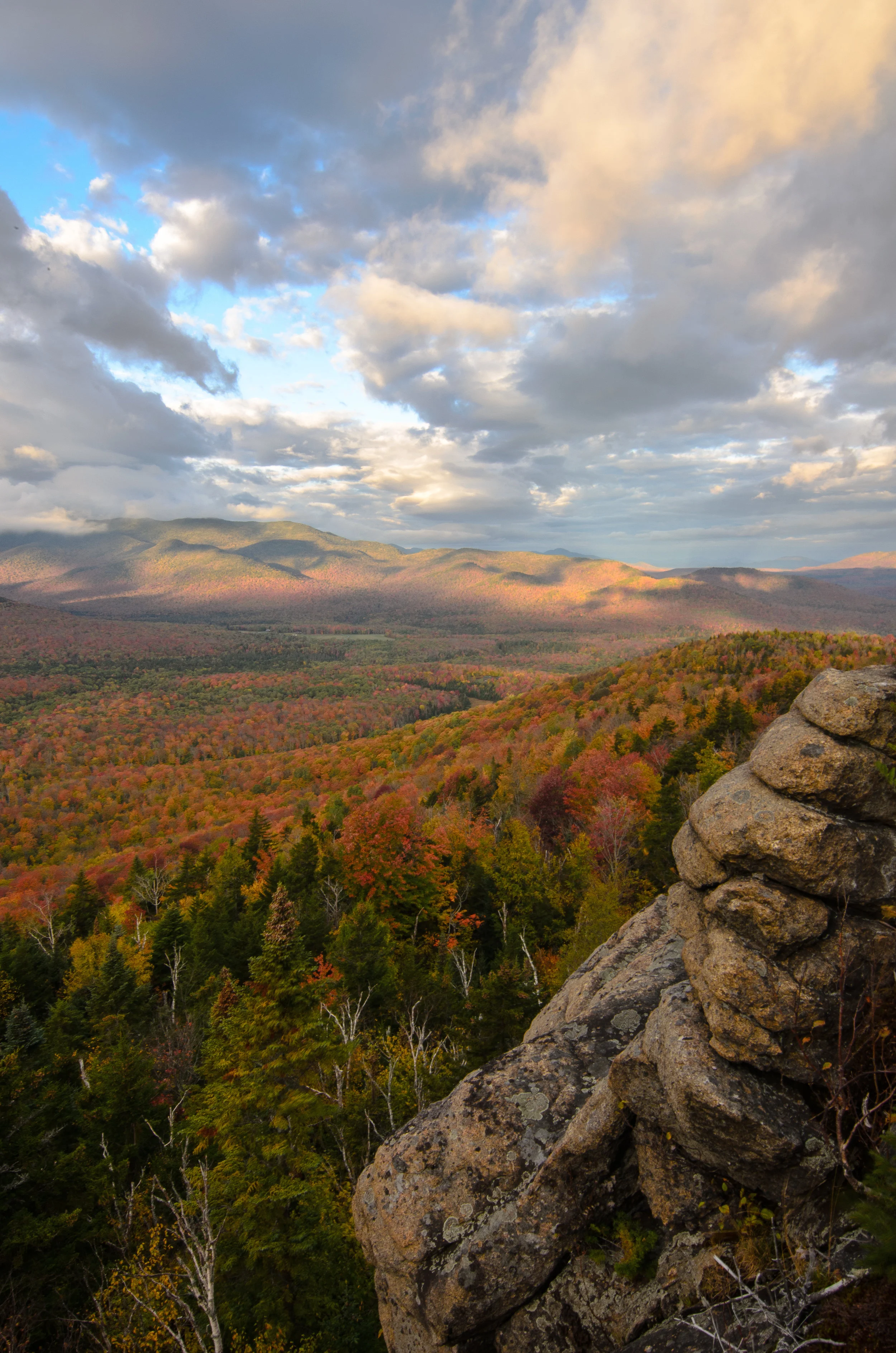 Mount Van Ho Foliage (1 of 1).jpg