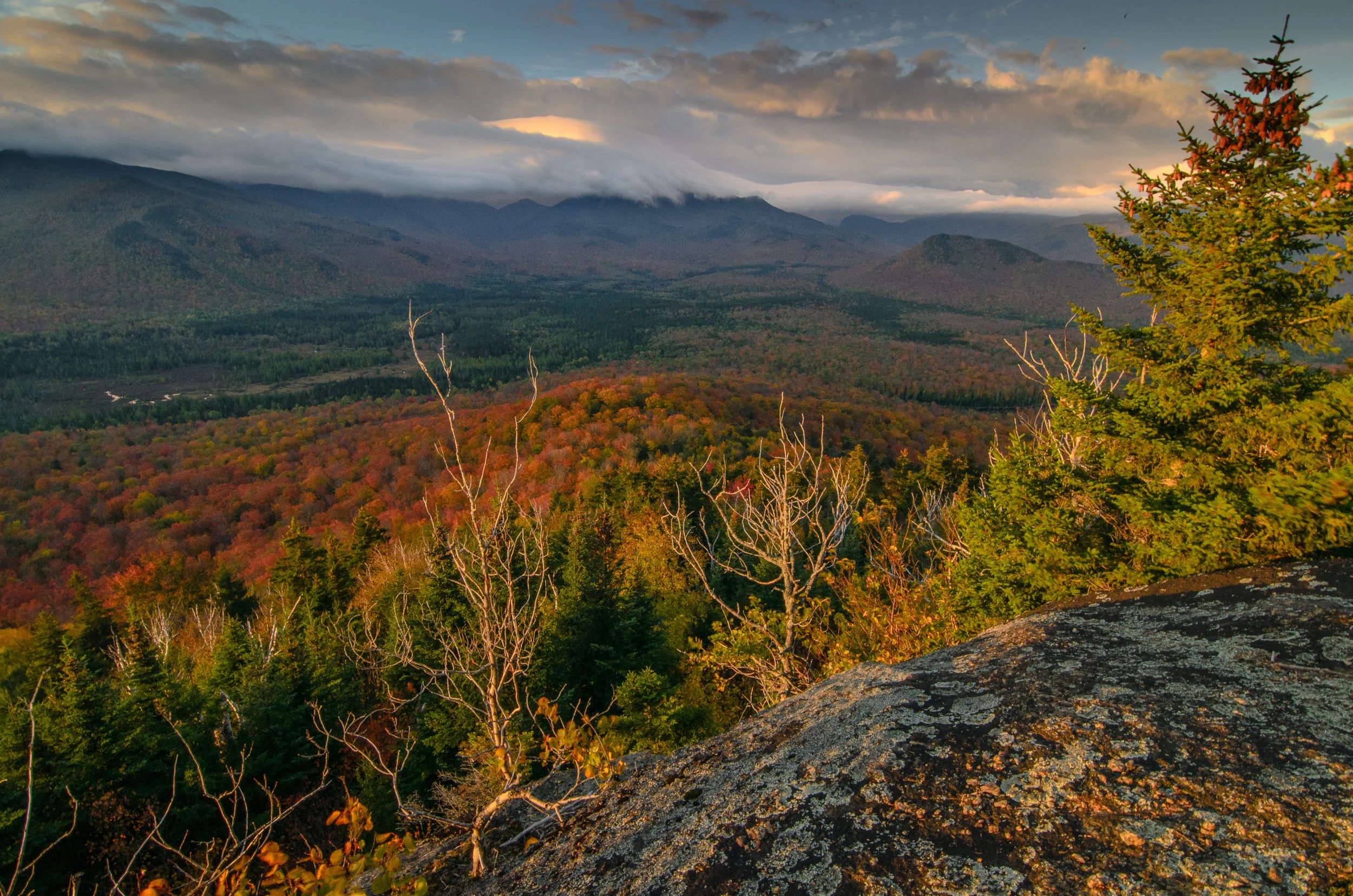 Mount Van Ho Foliage 2 (1 of 1).jpg