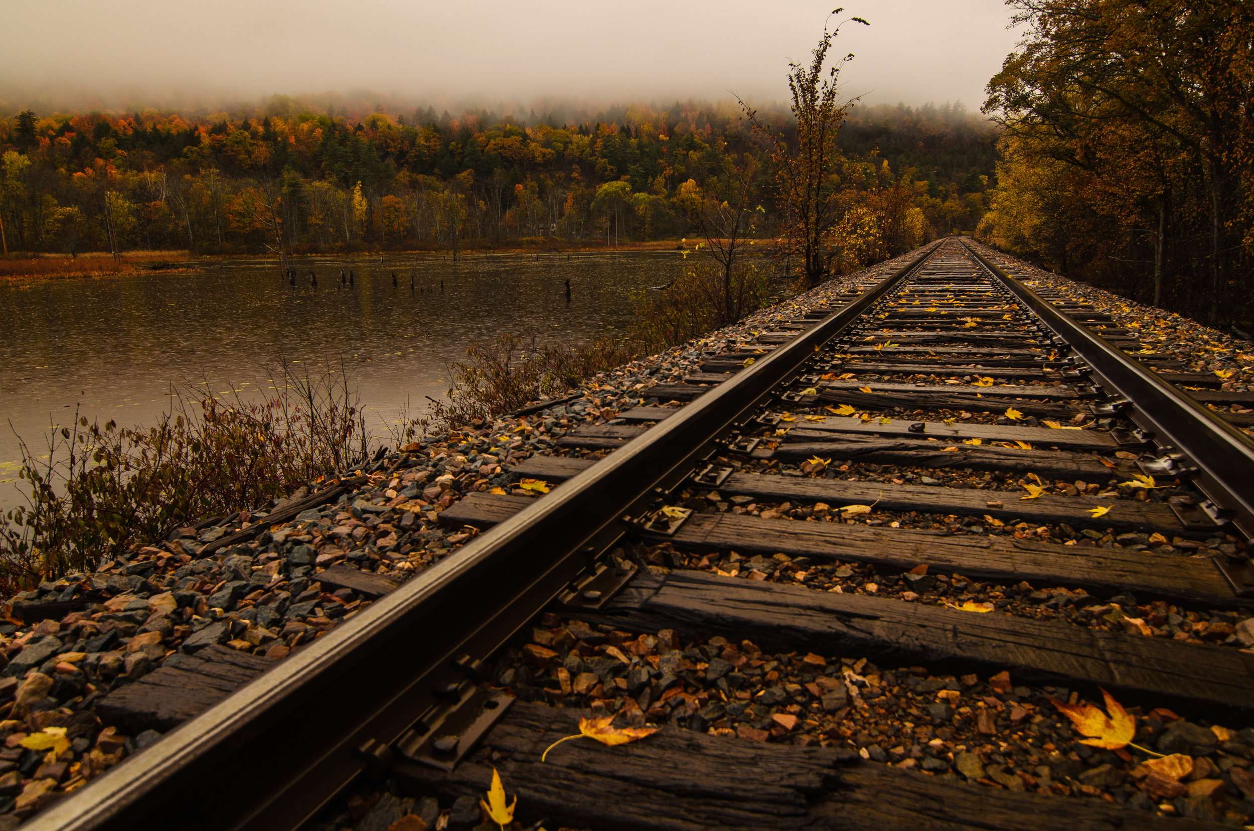 Railroad in Moriah (1 of 1).jpg