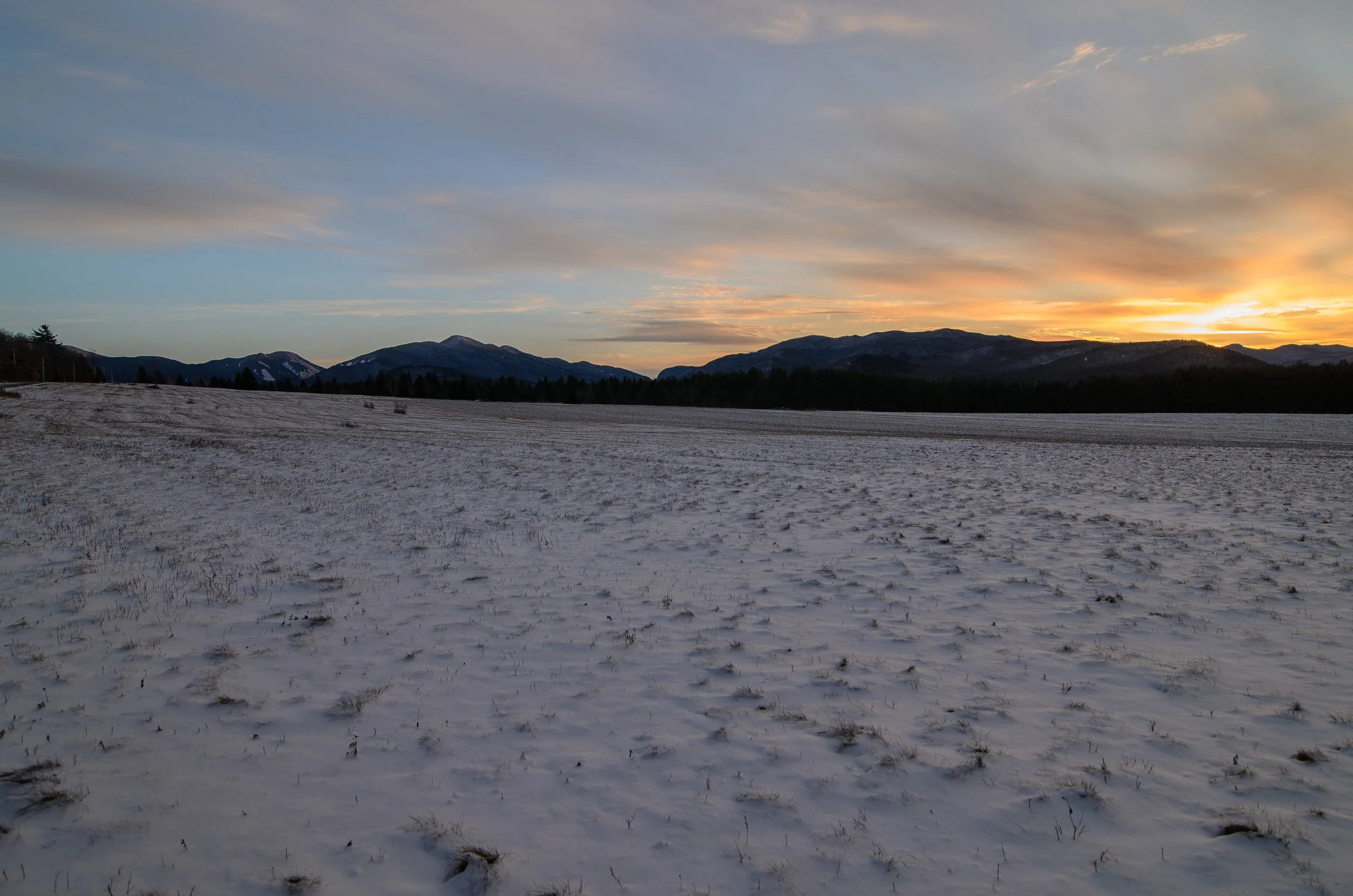 Adirondack Loj (1 of 1).jpg