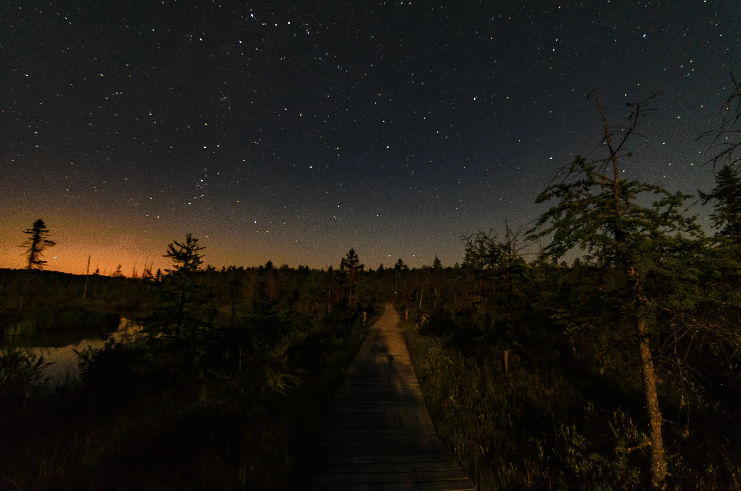 Boreal Life 3 (1 of 1).jpg