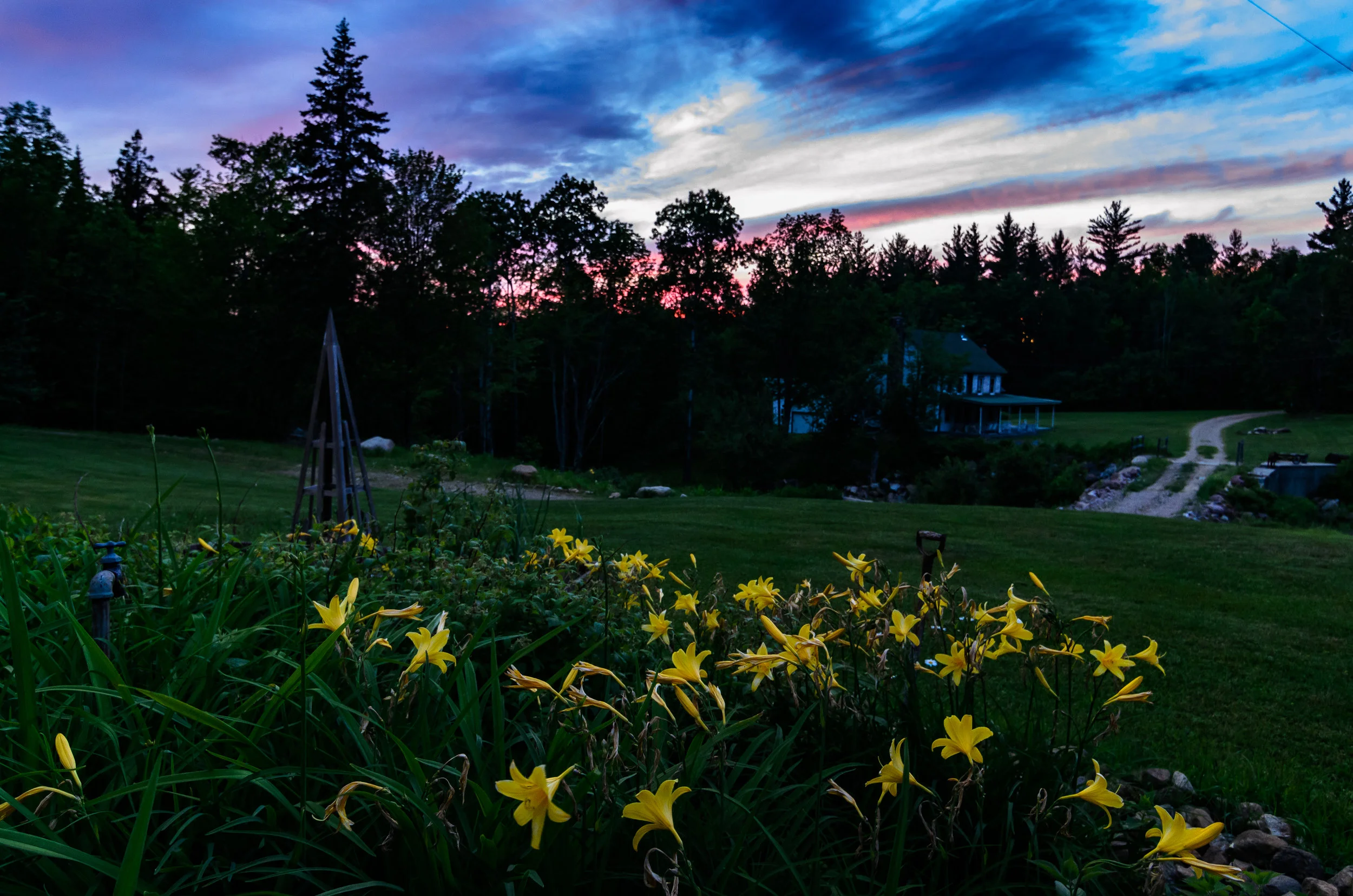 Camp Garden (1 of 1).jpg