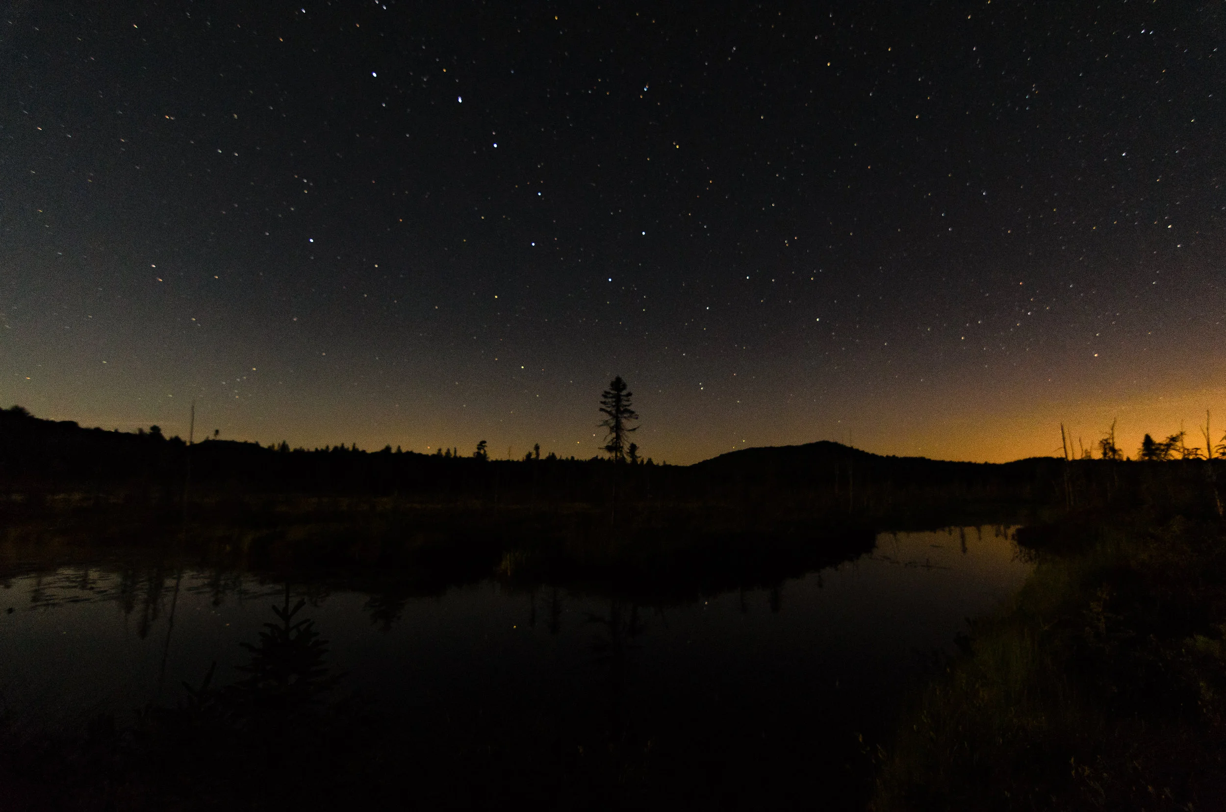 Boreal Life Reflection (1 of 1).jpg