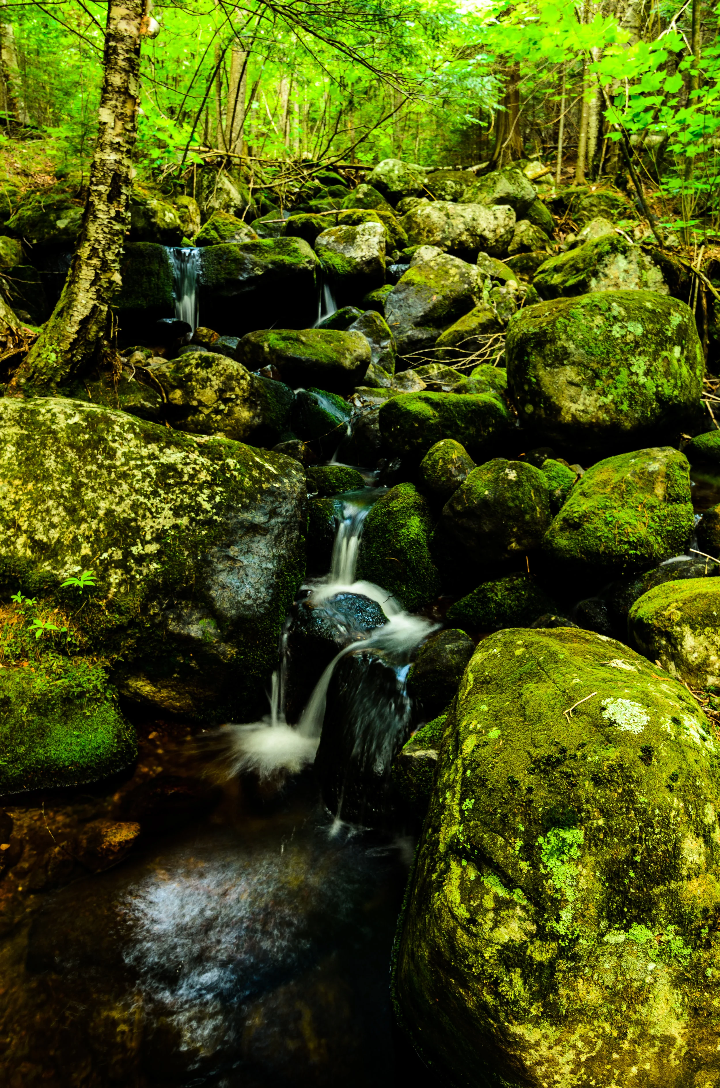 Hurricane Brook (1 of 1).jpg