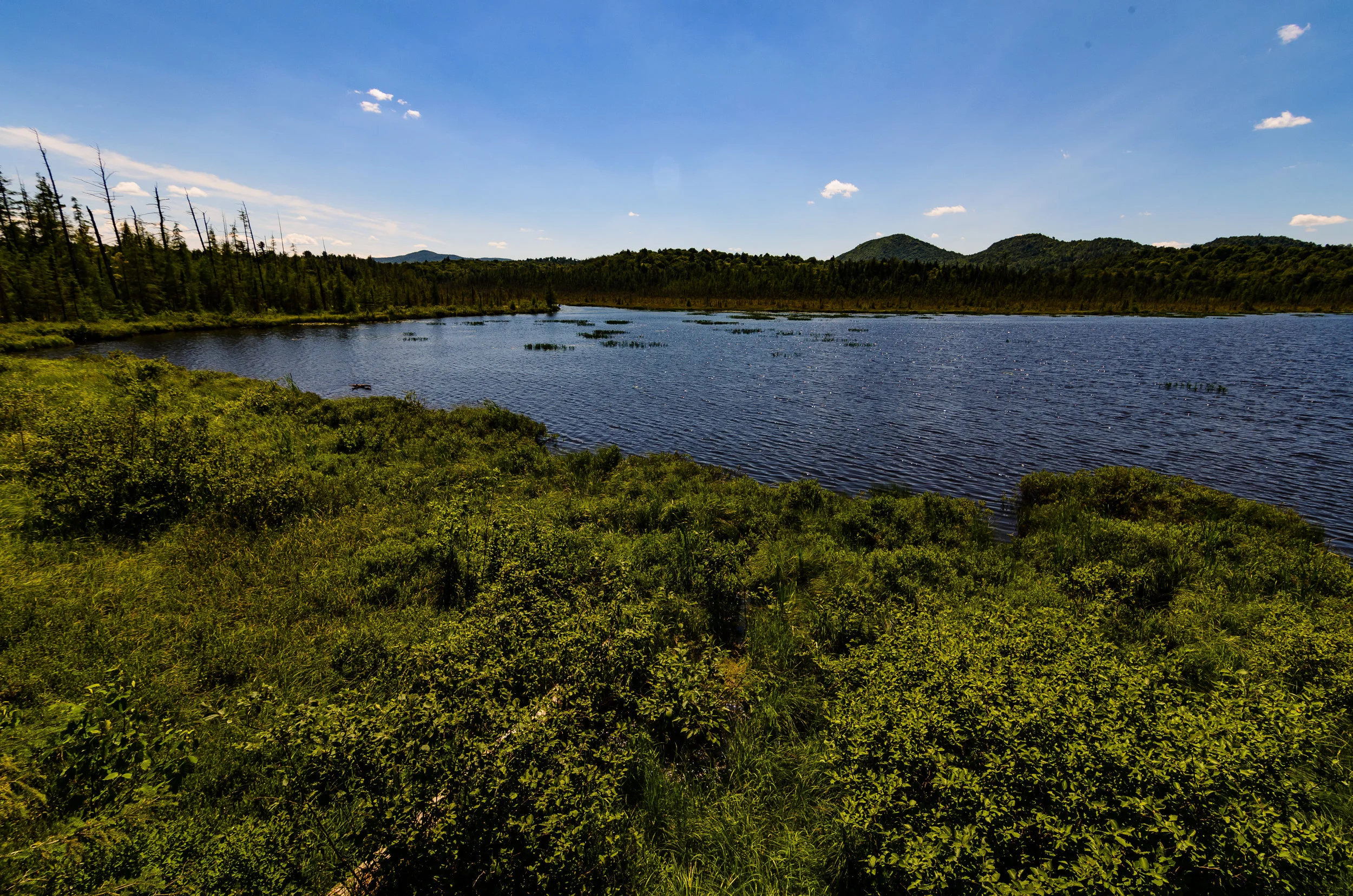 VIC trails (1 of 1).jpg