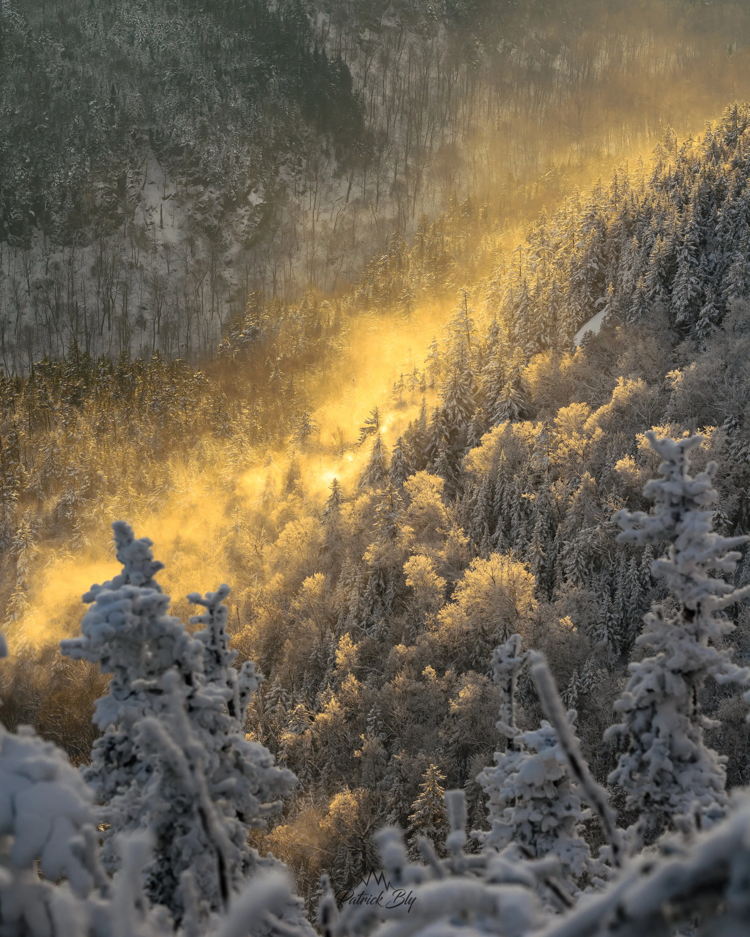 There's Gold In Them Hills