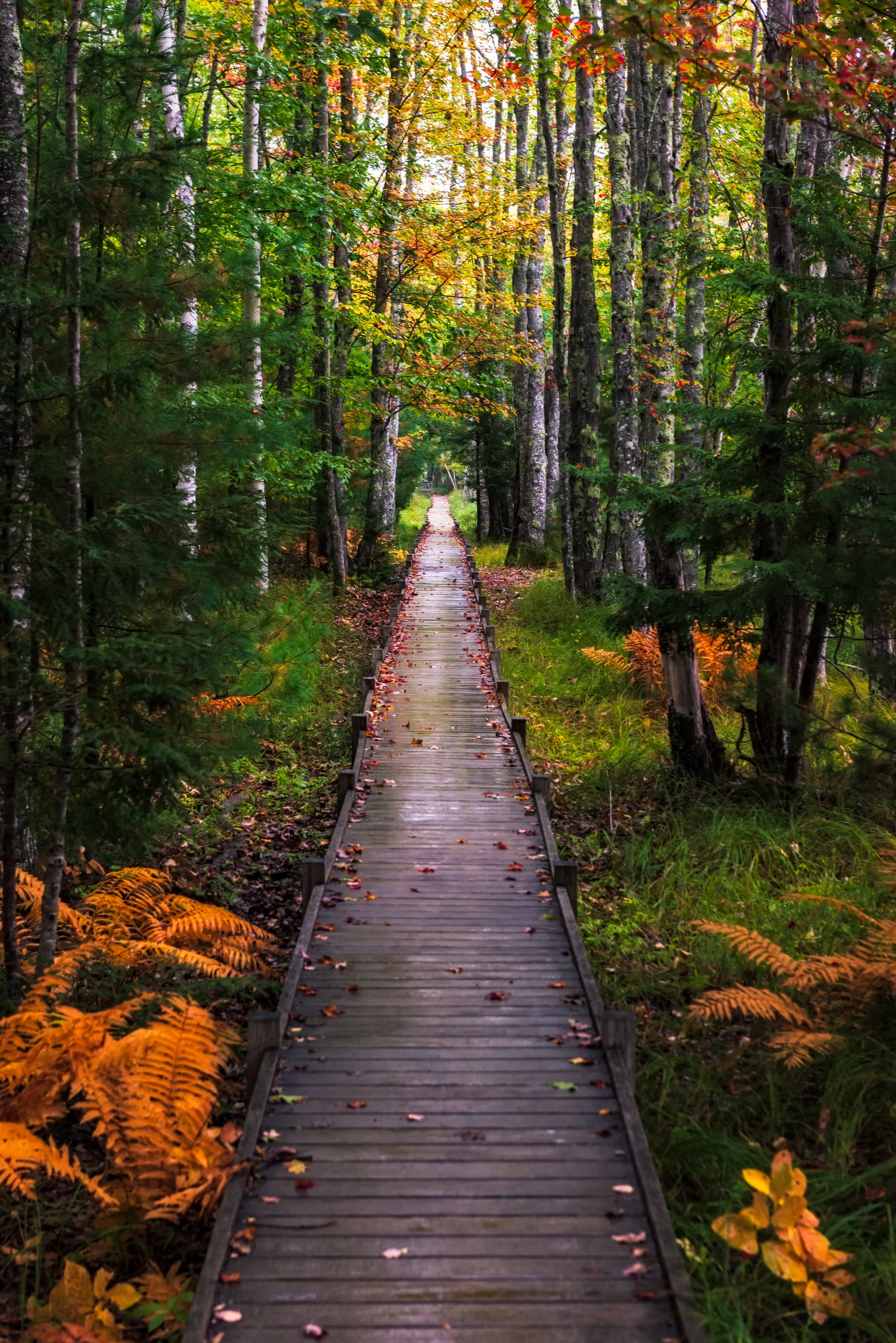 Path To Infinity