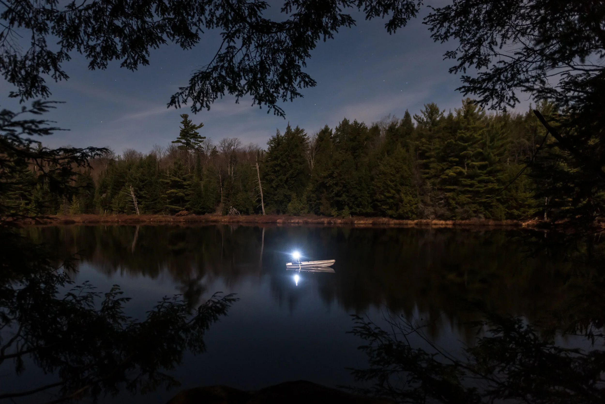 Midnight Moonlight