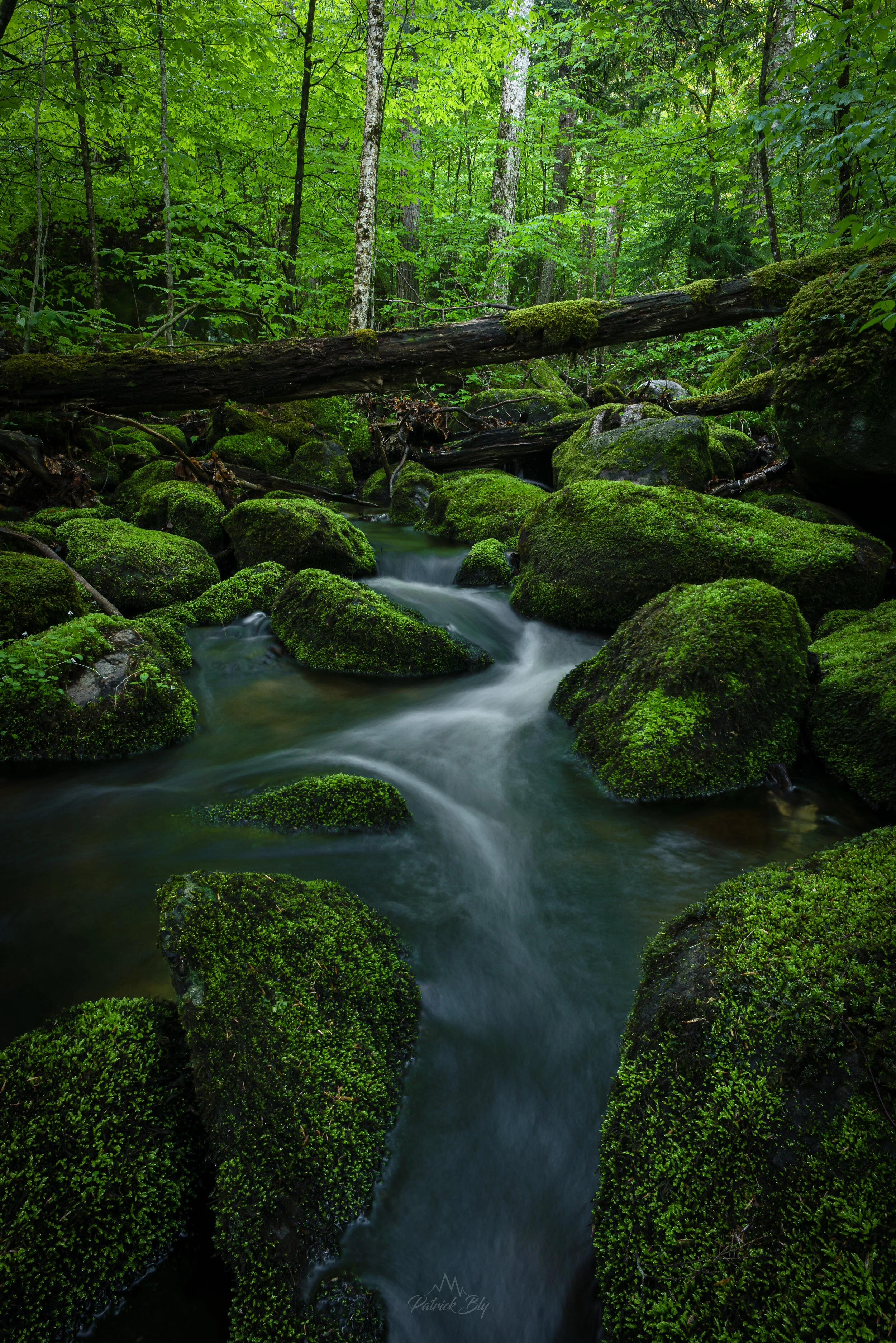 Etheral Spring.jpg