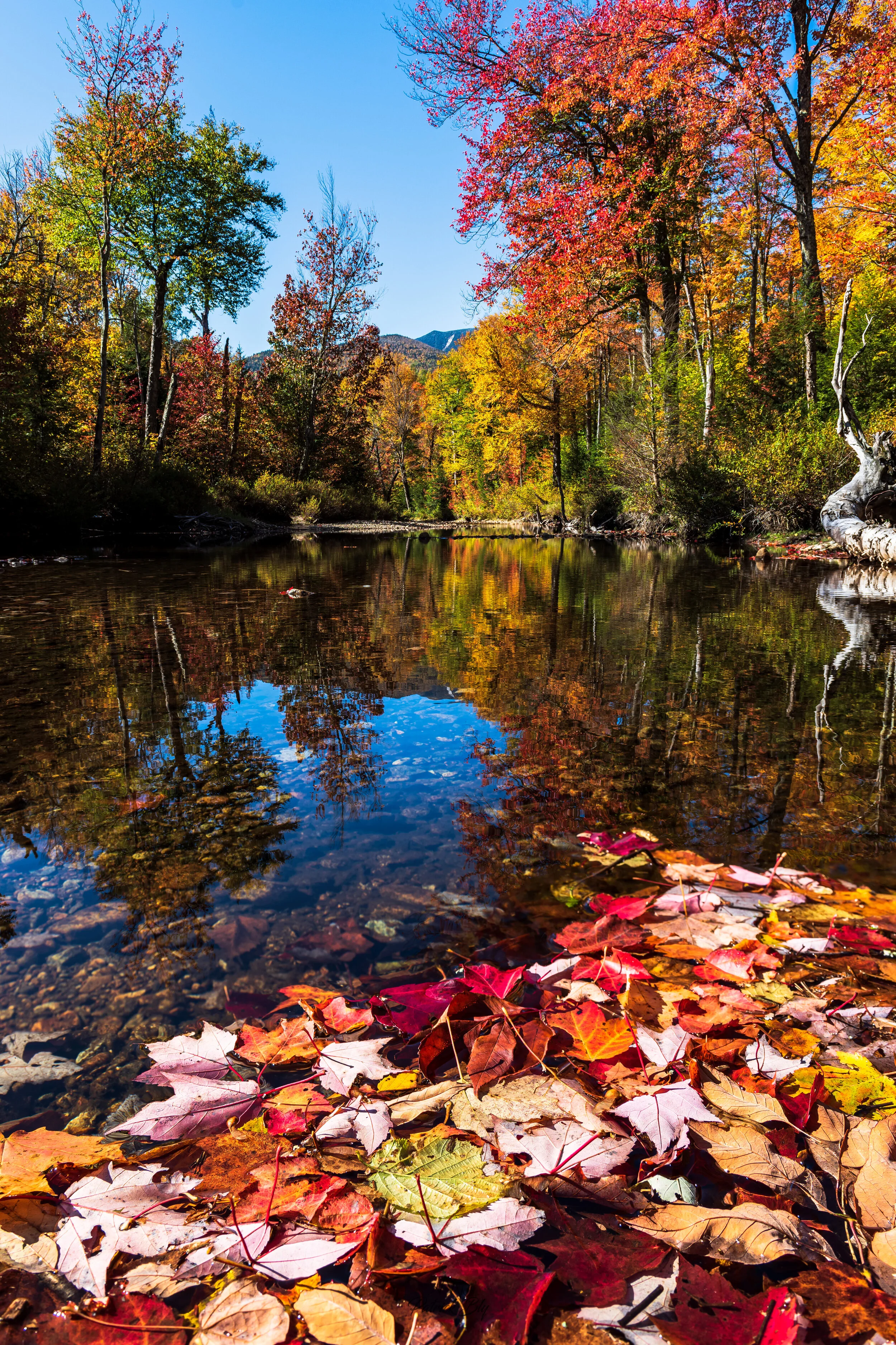 Boquet River Valley Website.jpg