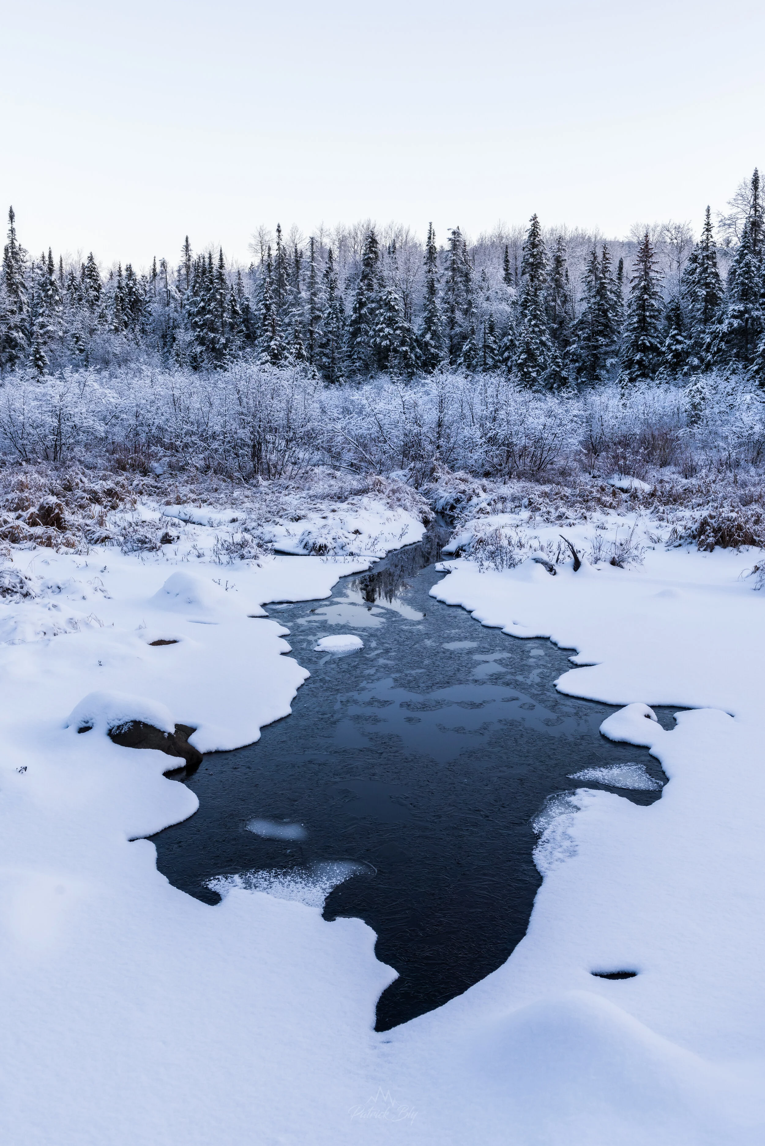 Triangle Wetland Full.jpg